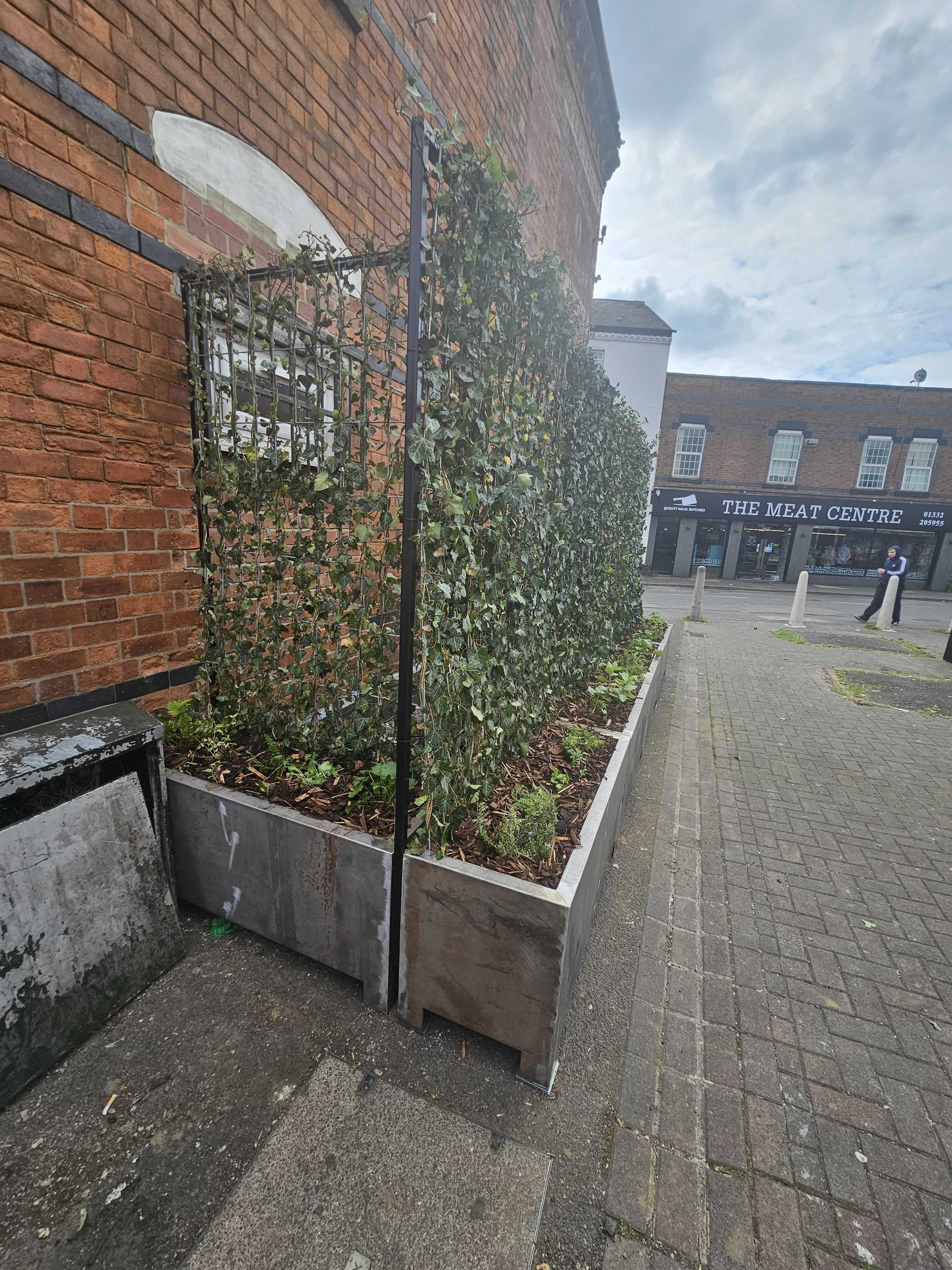 Normanton Custom Planters and Green Screens