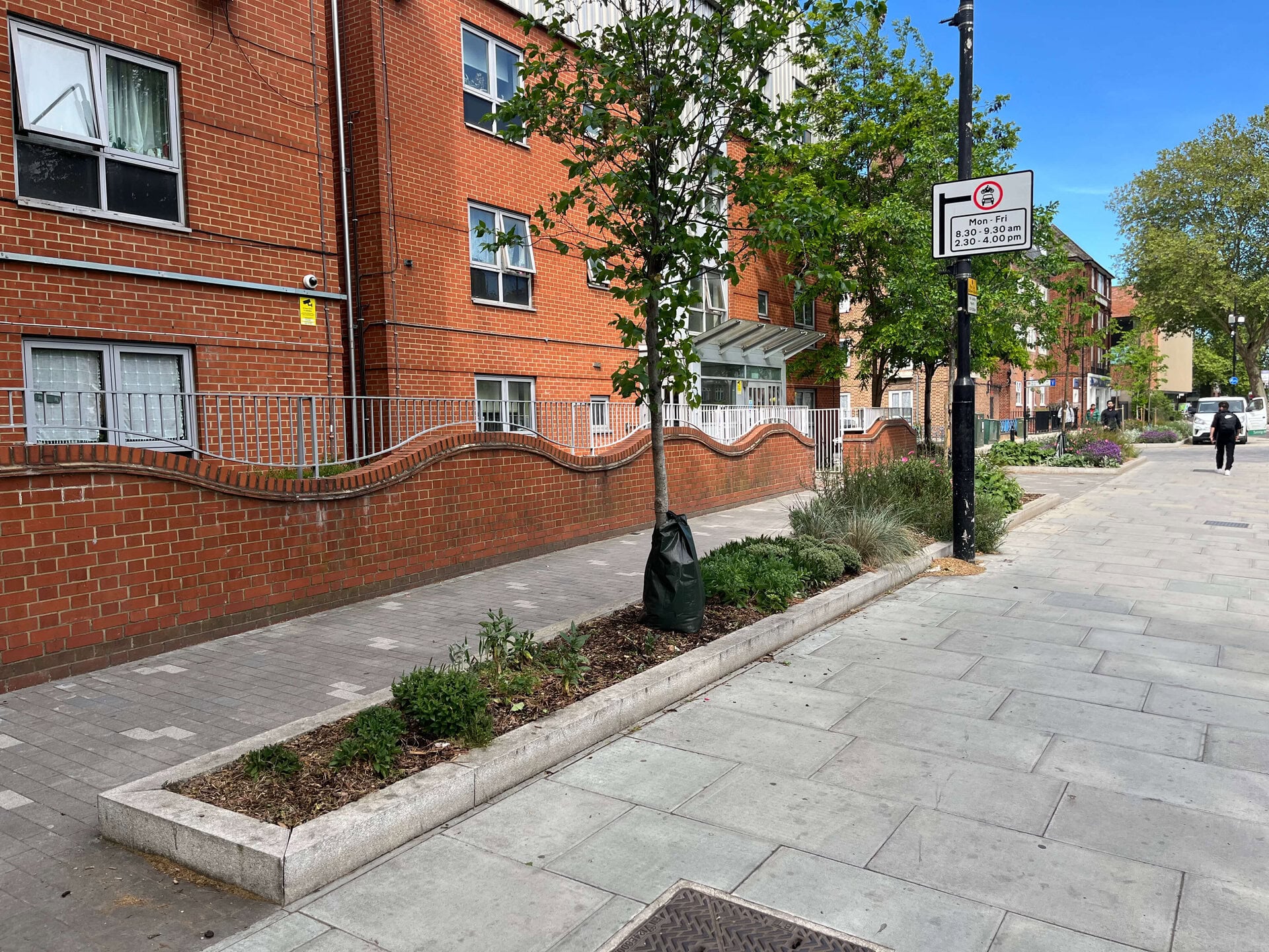 Romford Road Rain Gardens