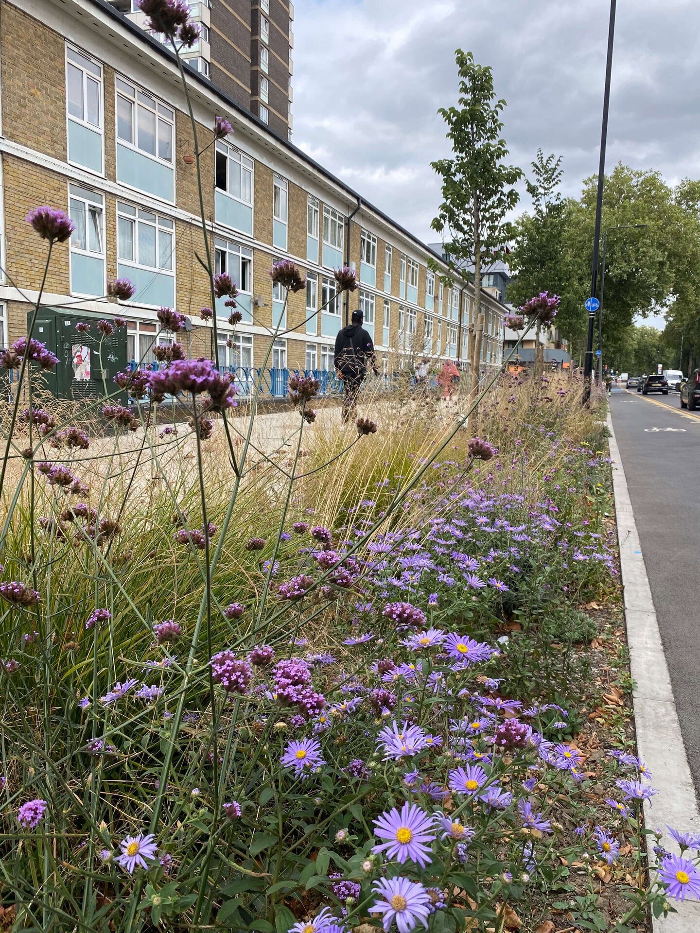 Romford Road Rain Gardens