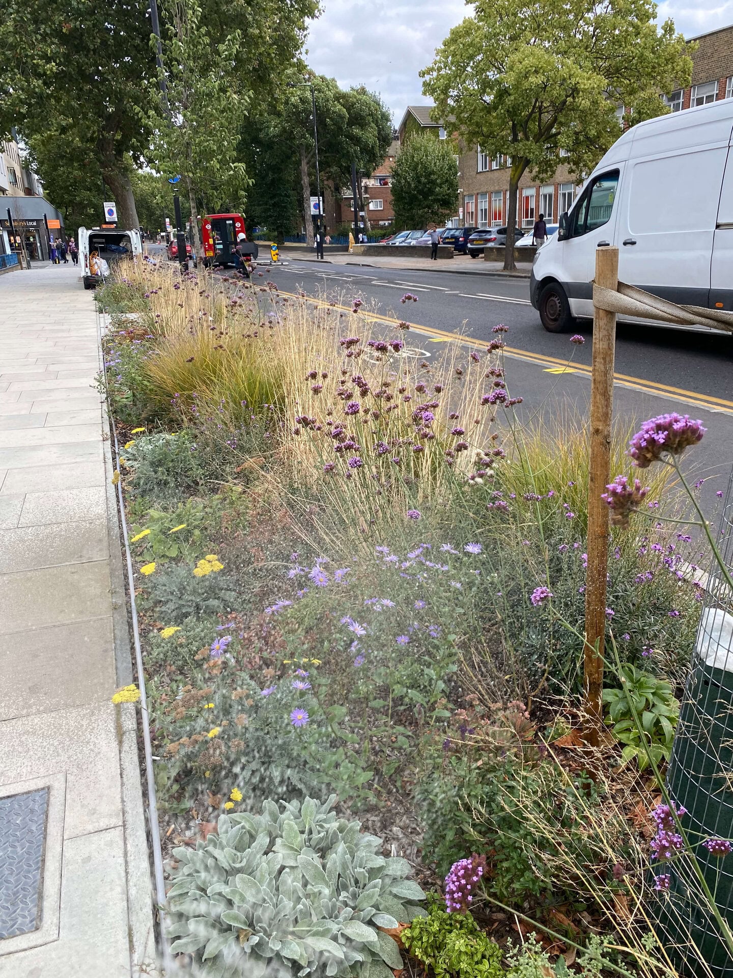 Romford Road Rain Gardens