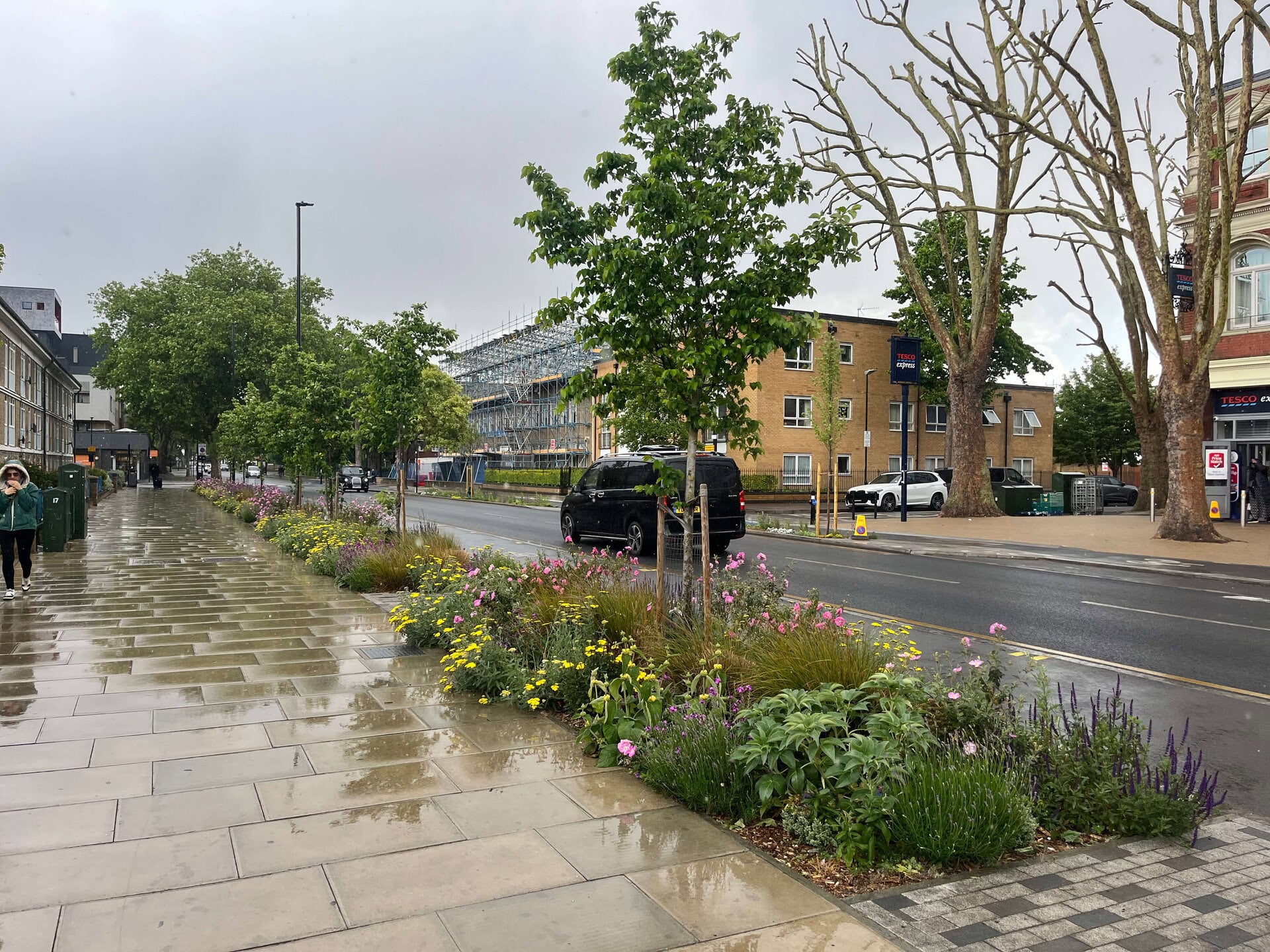 Romford Road Rain Gardens