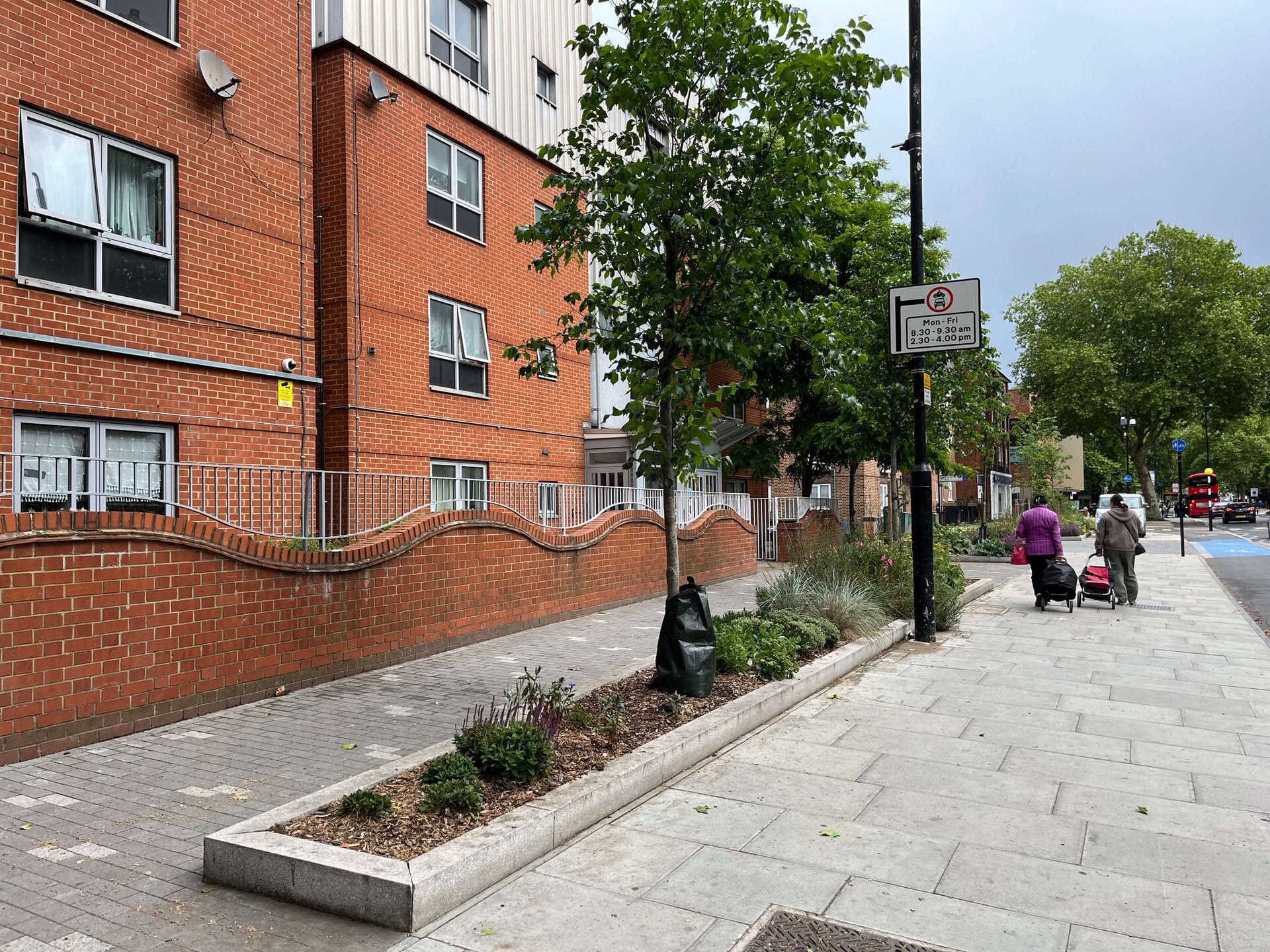 Romford Road Rain Gardens