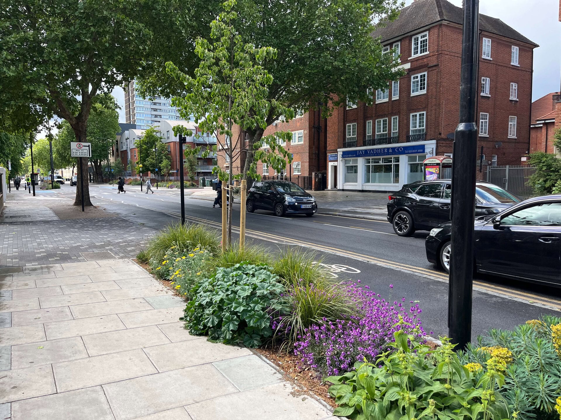 Romford Road Rain Gardens