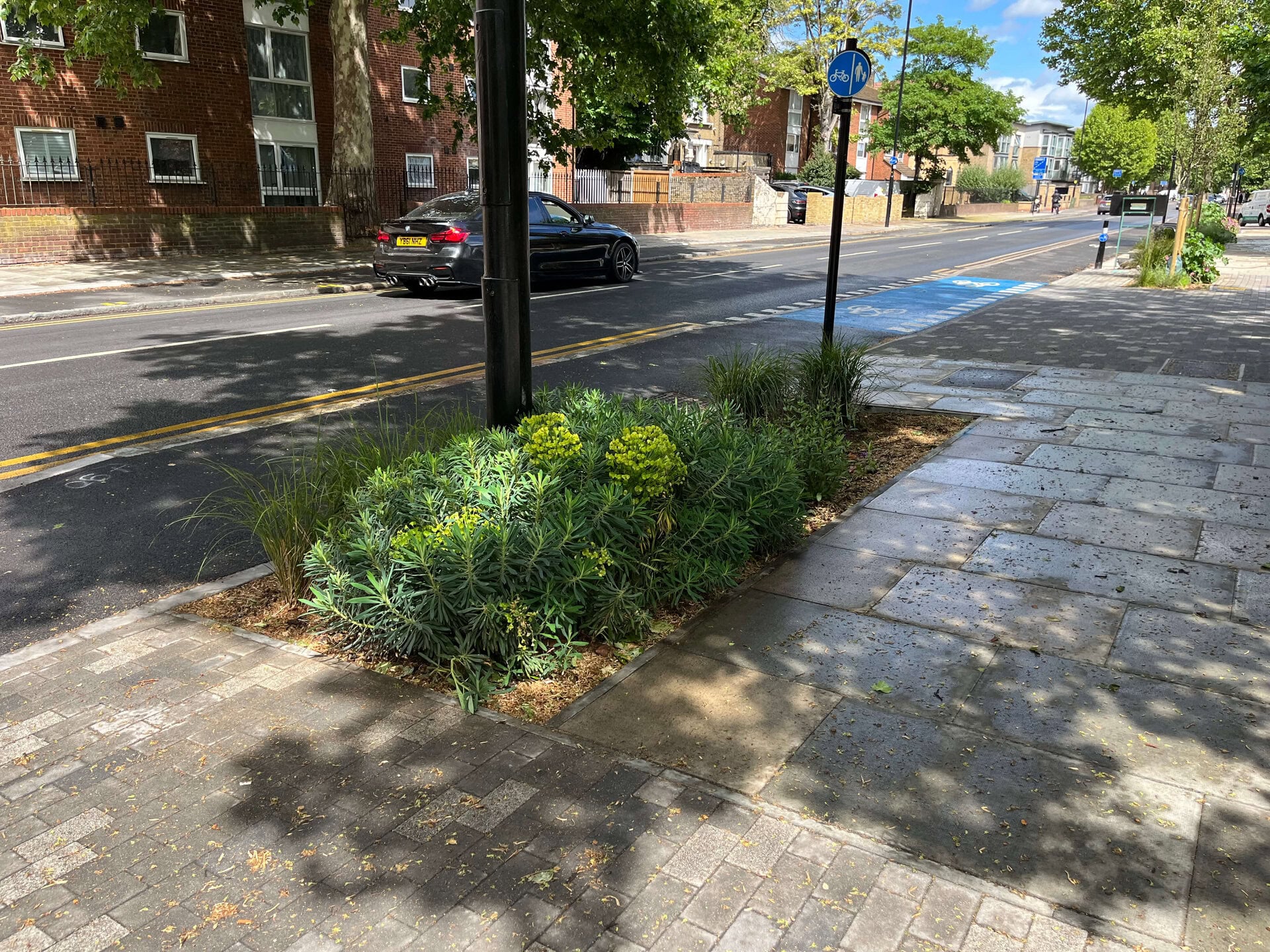 Romford Road Rain Gardens