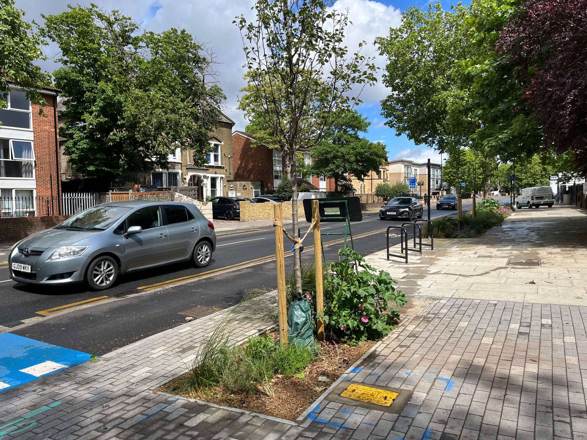 Romford Road Rain Gardens
