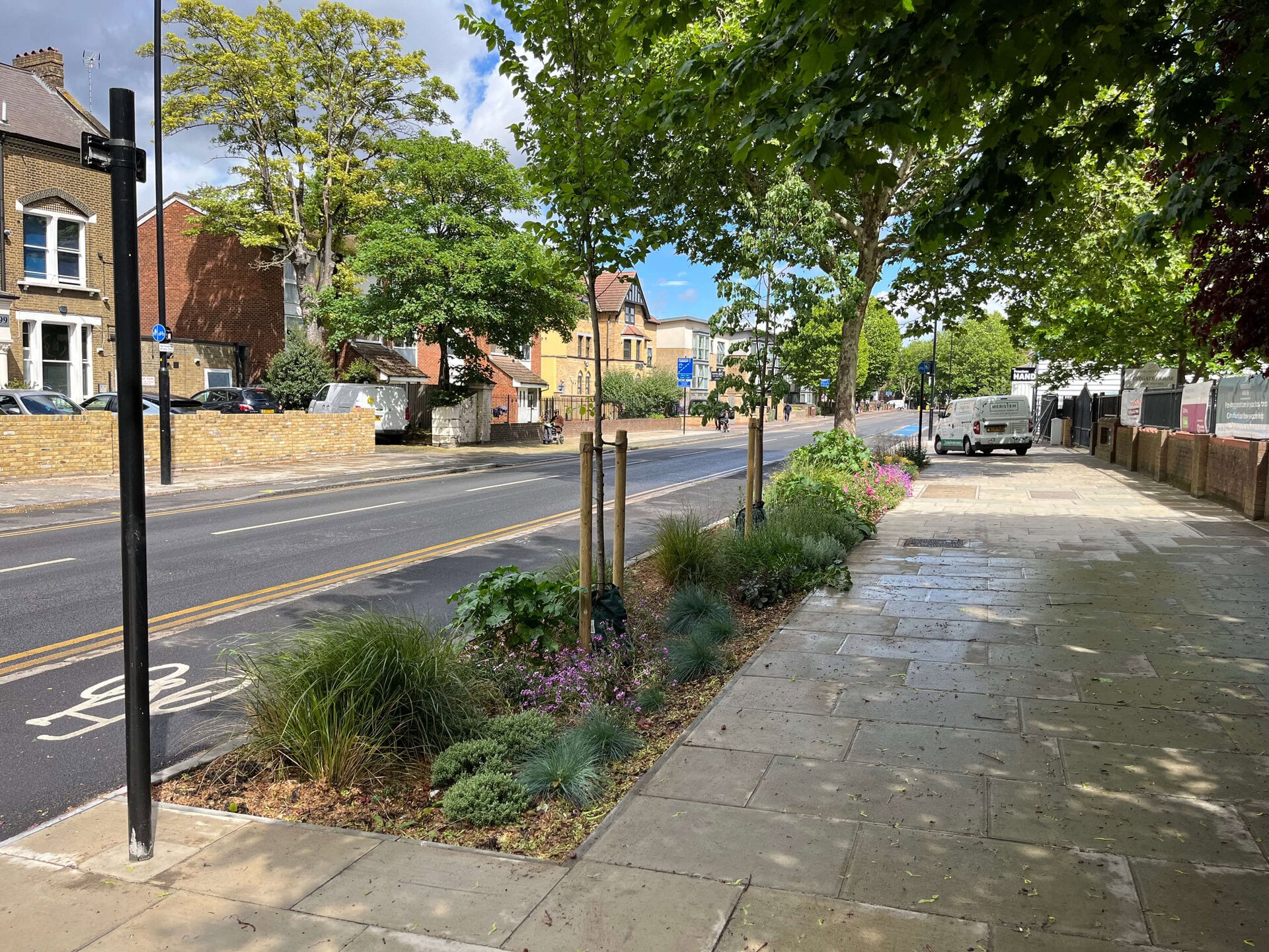 Romford Road Rain Gardens