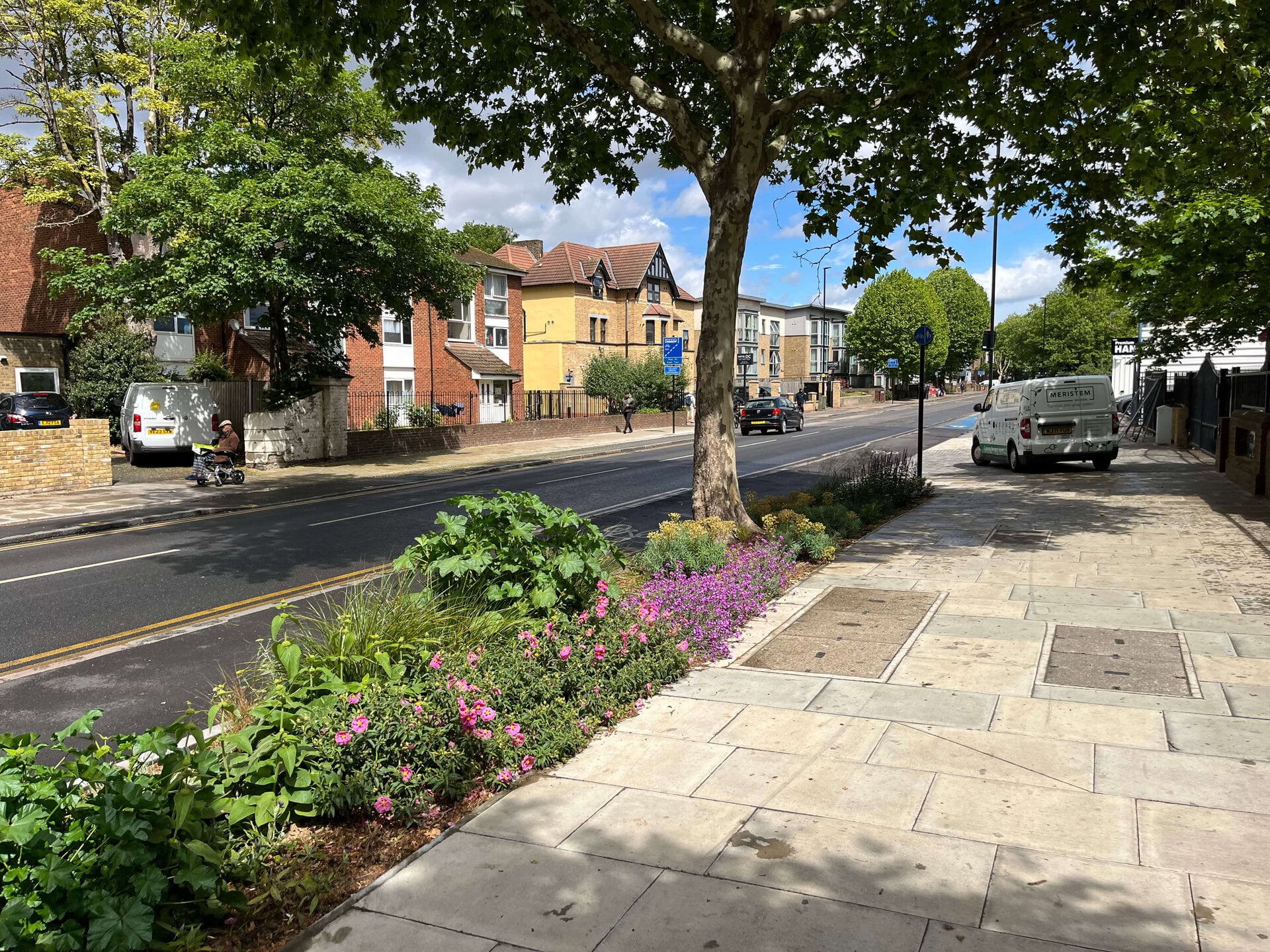 Romford Road Rain Gardens