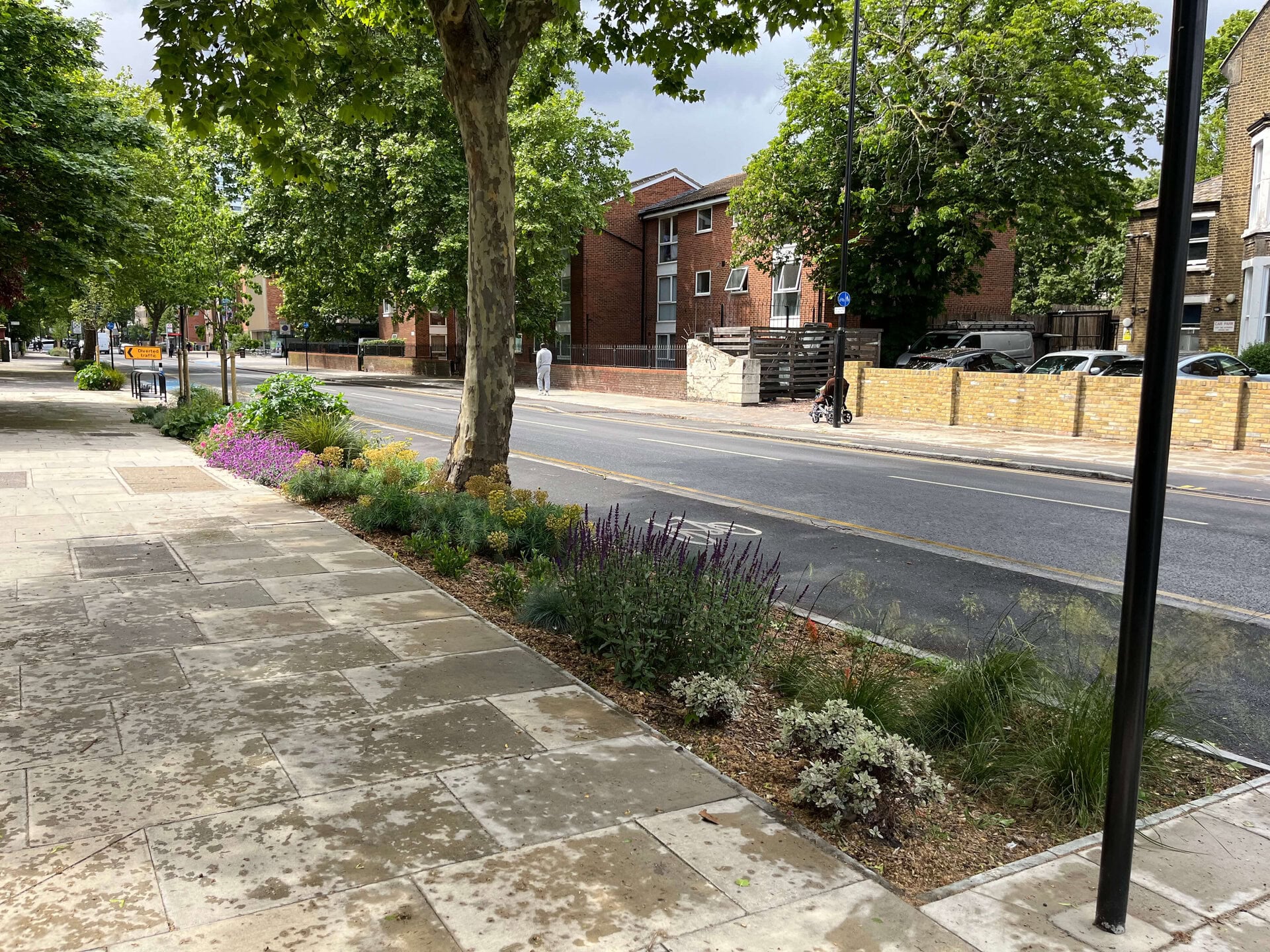 Romford Road Rain Gardens