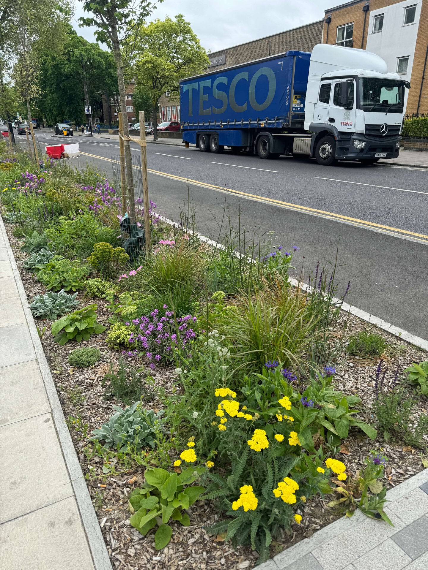 Romford Road Rain Gardens