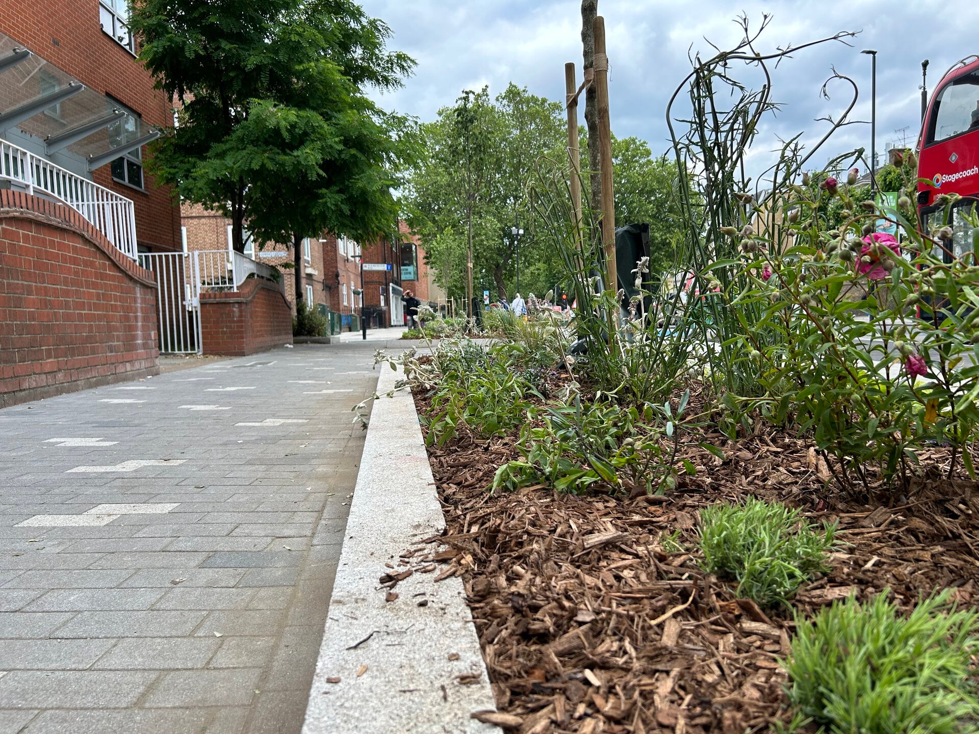 Romford Road Rain Gardens