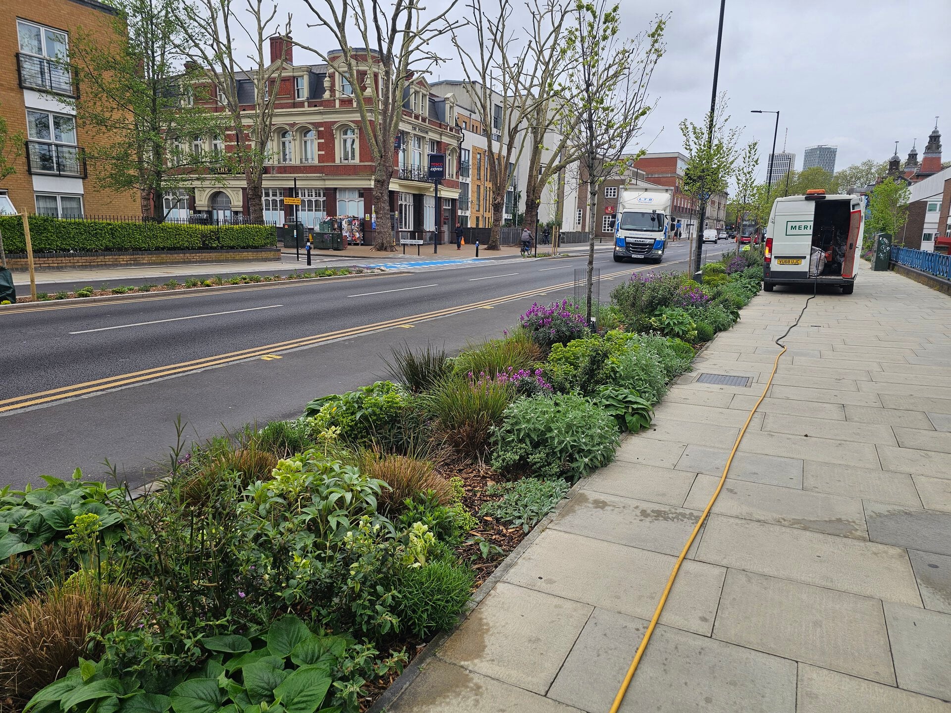 Romford Road Rain Gardens