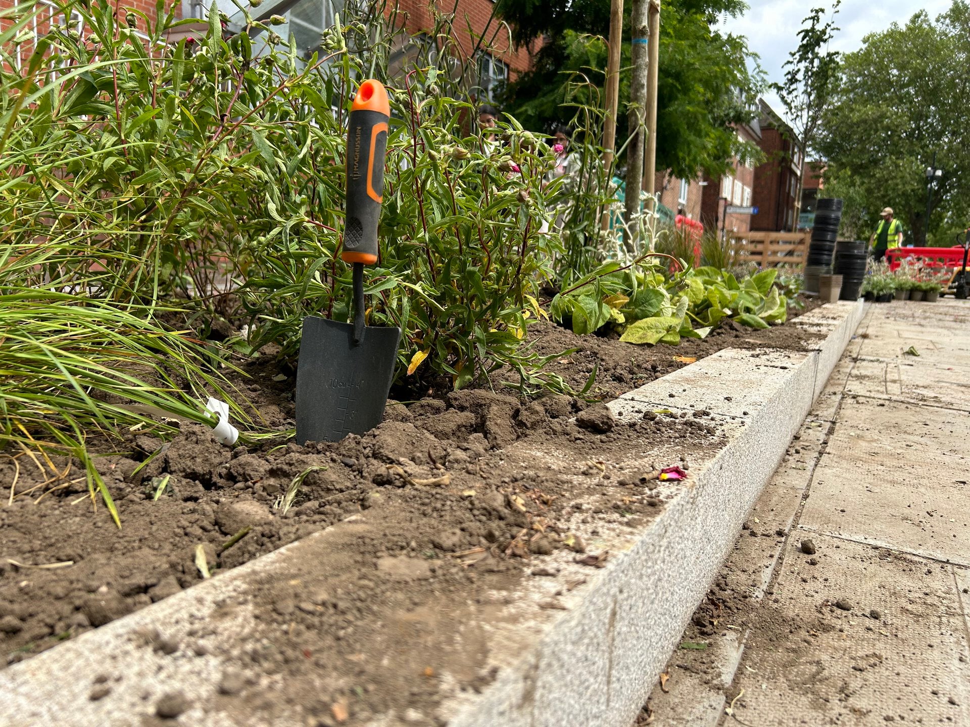 Romford Road Rain Gardens