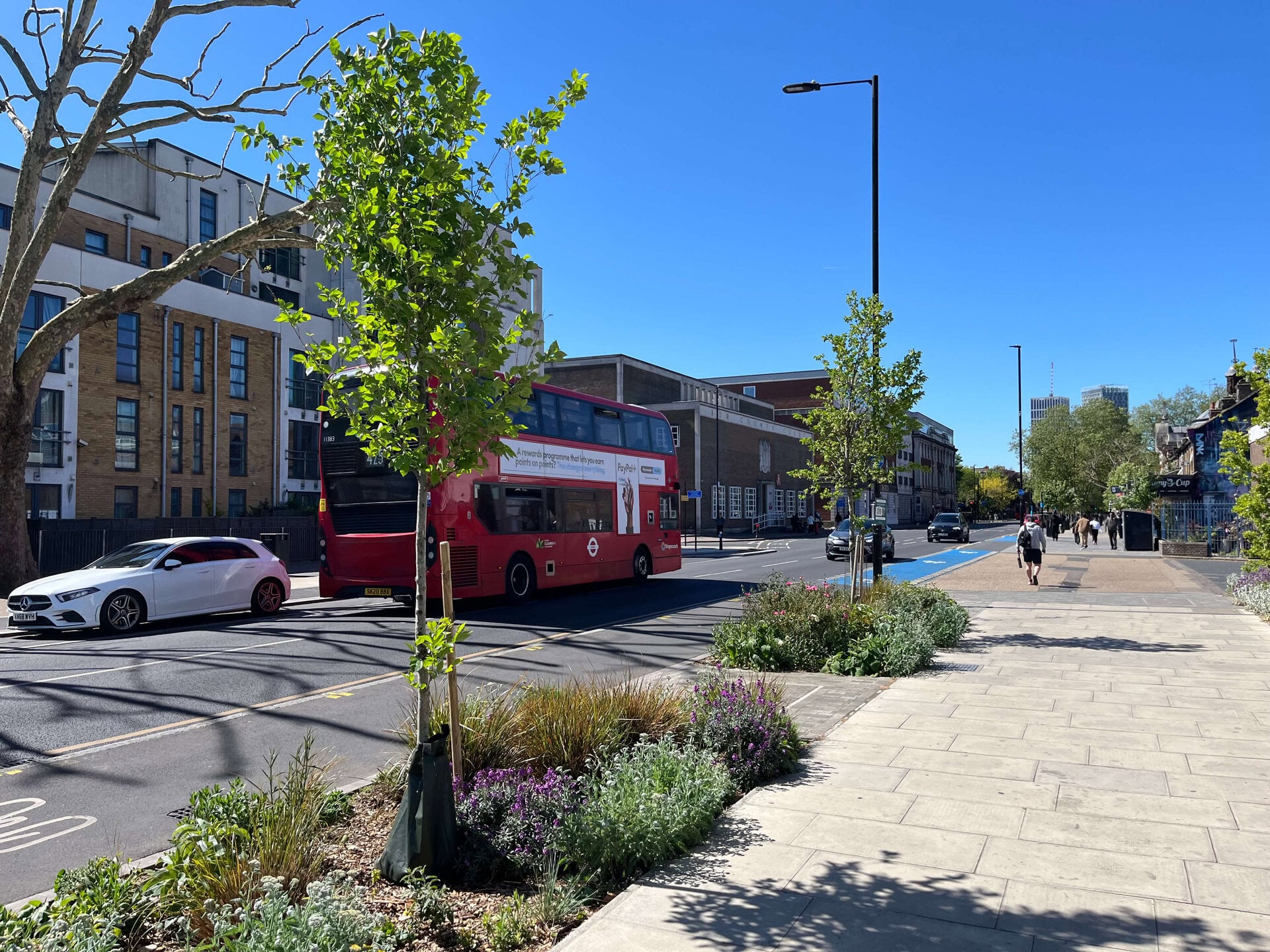 Romford Road Rain Gardens