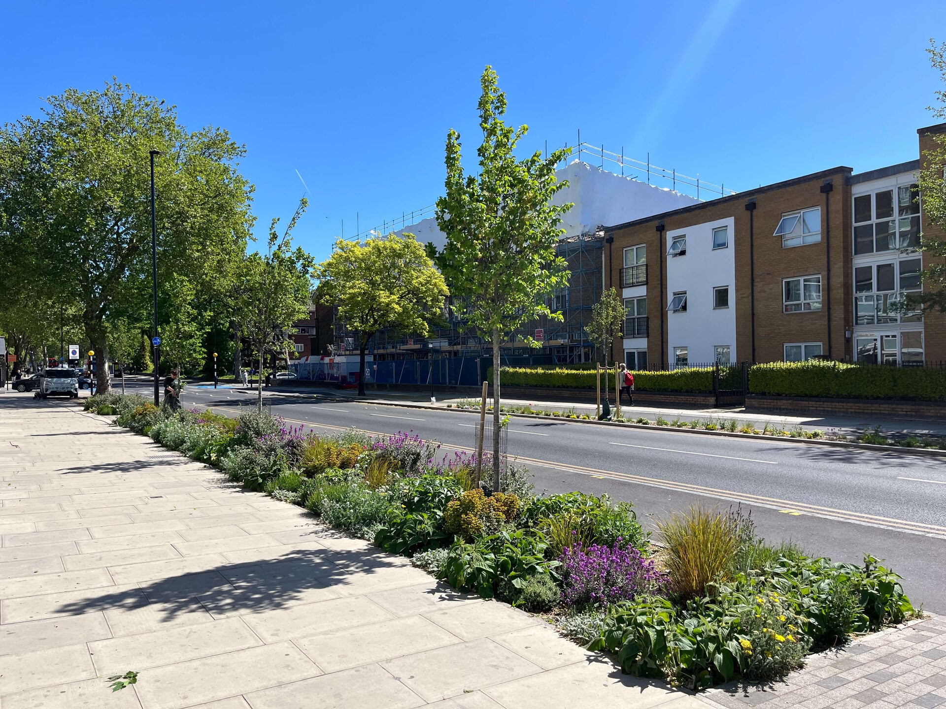 Romford Road Rain Gardens