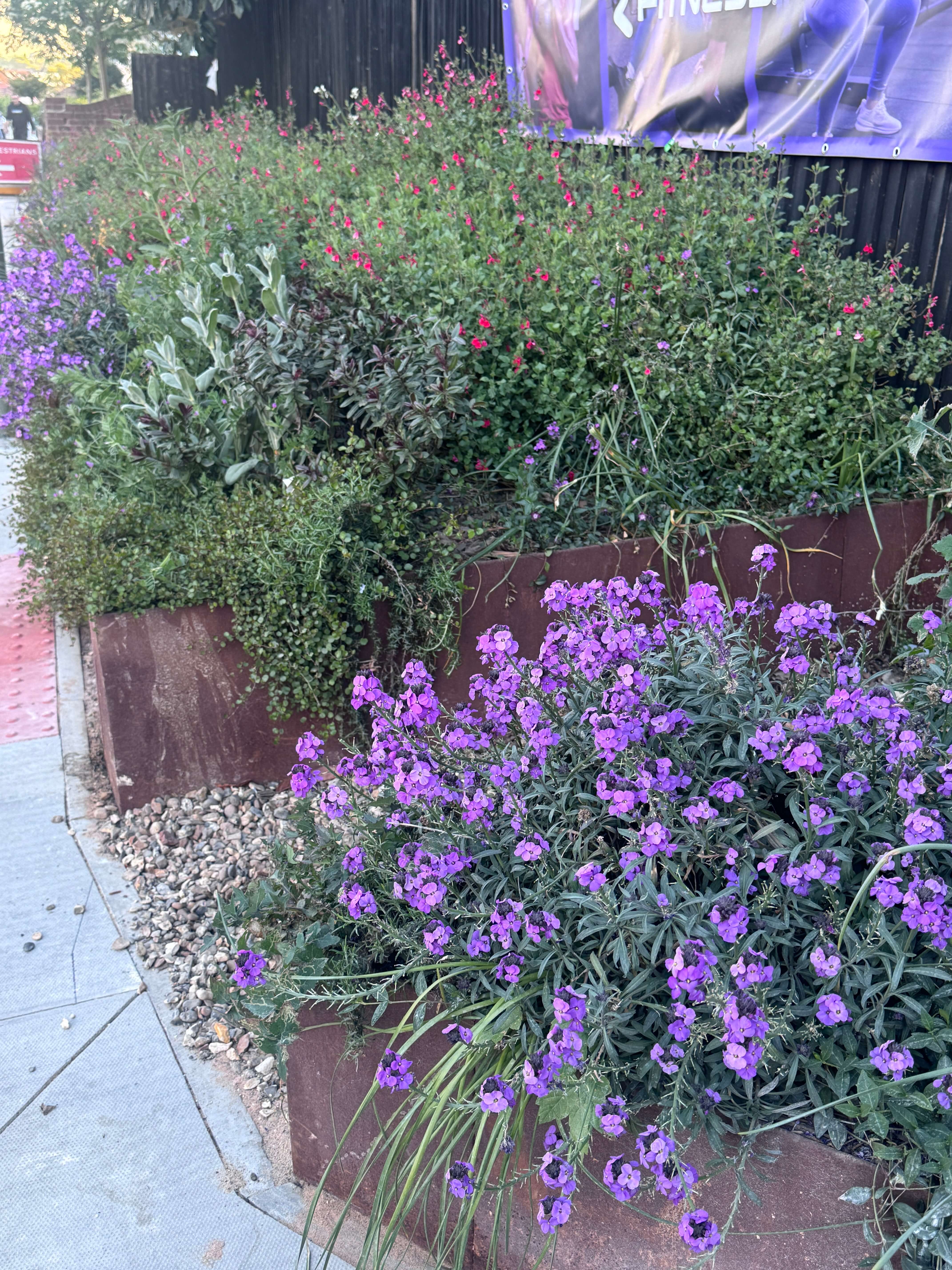 Cool Oak Lane Custom Planters