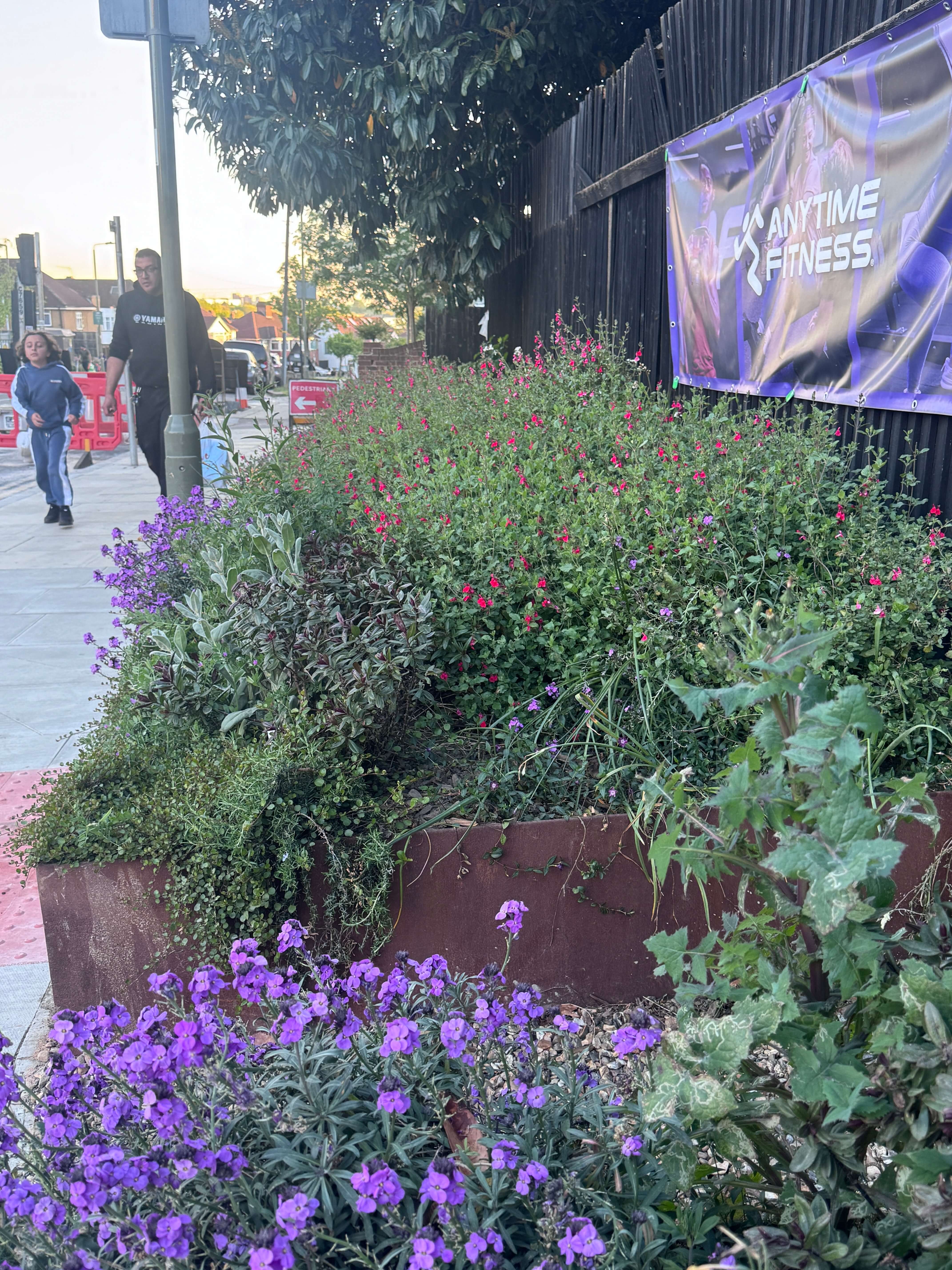Cool Oak Lane Custom Planters