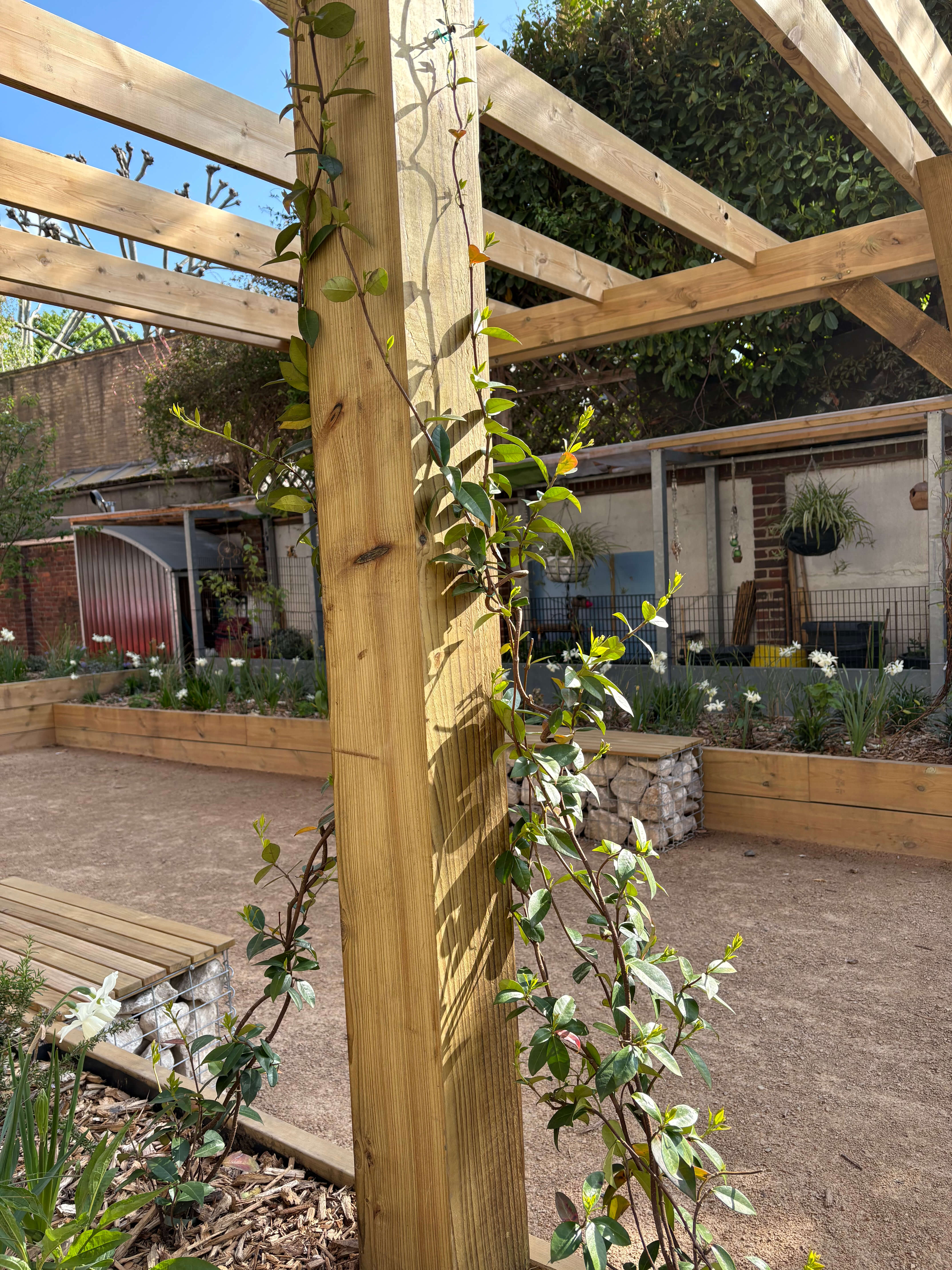 Bramley House Nature Garden
