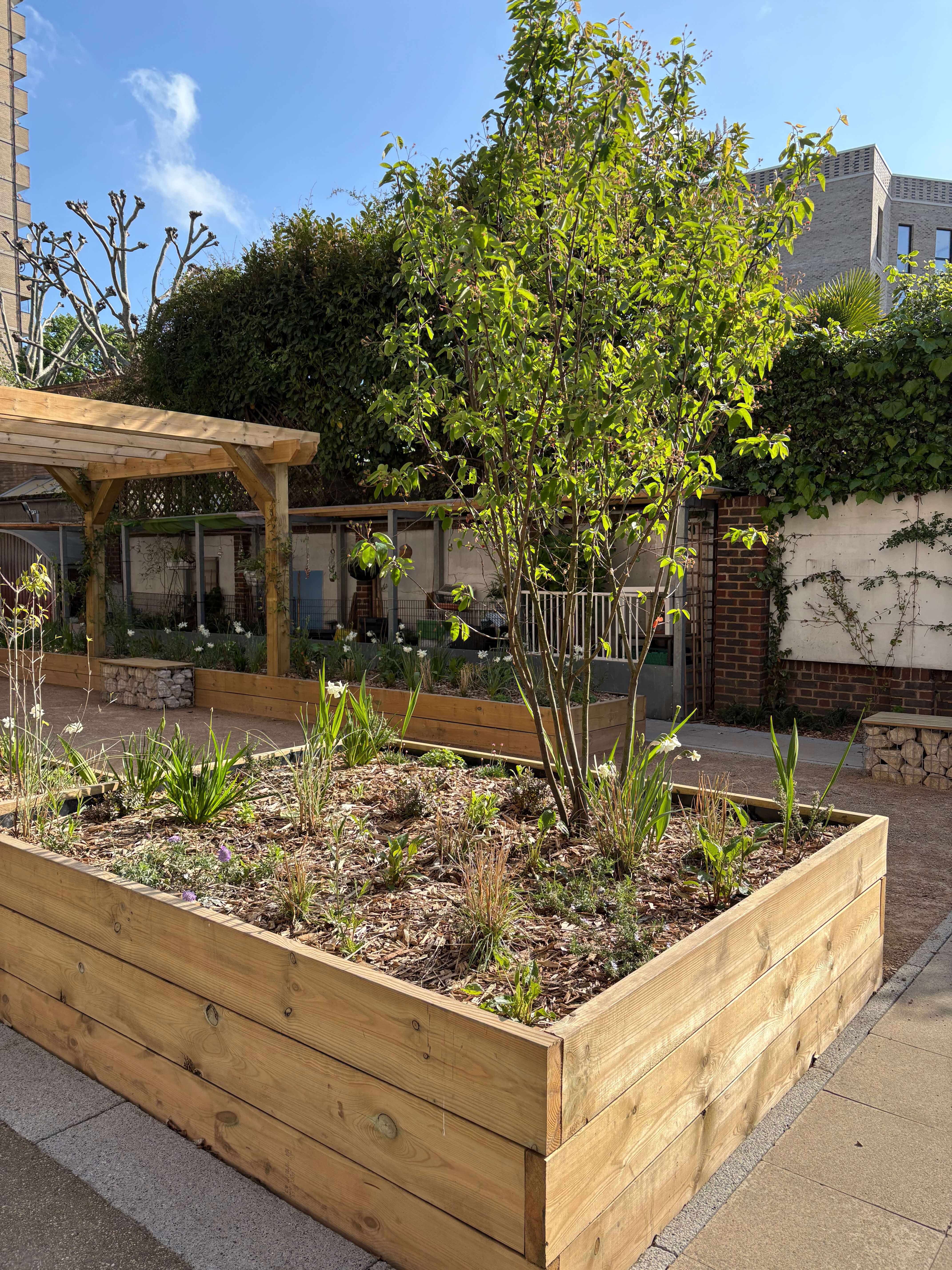 Bramley House Nature Garden
