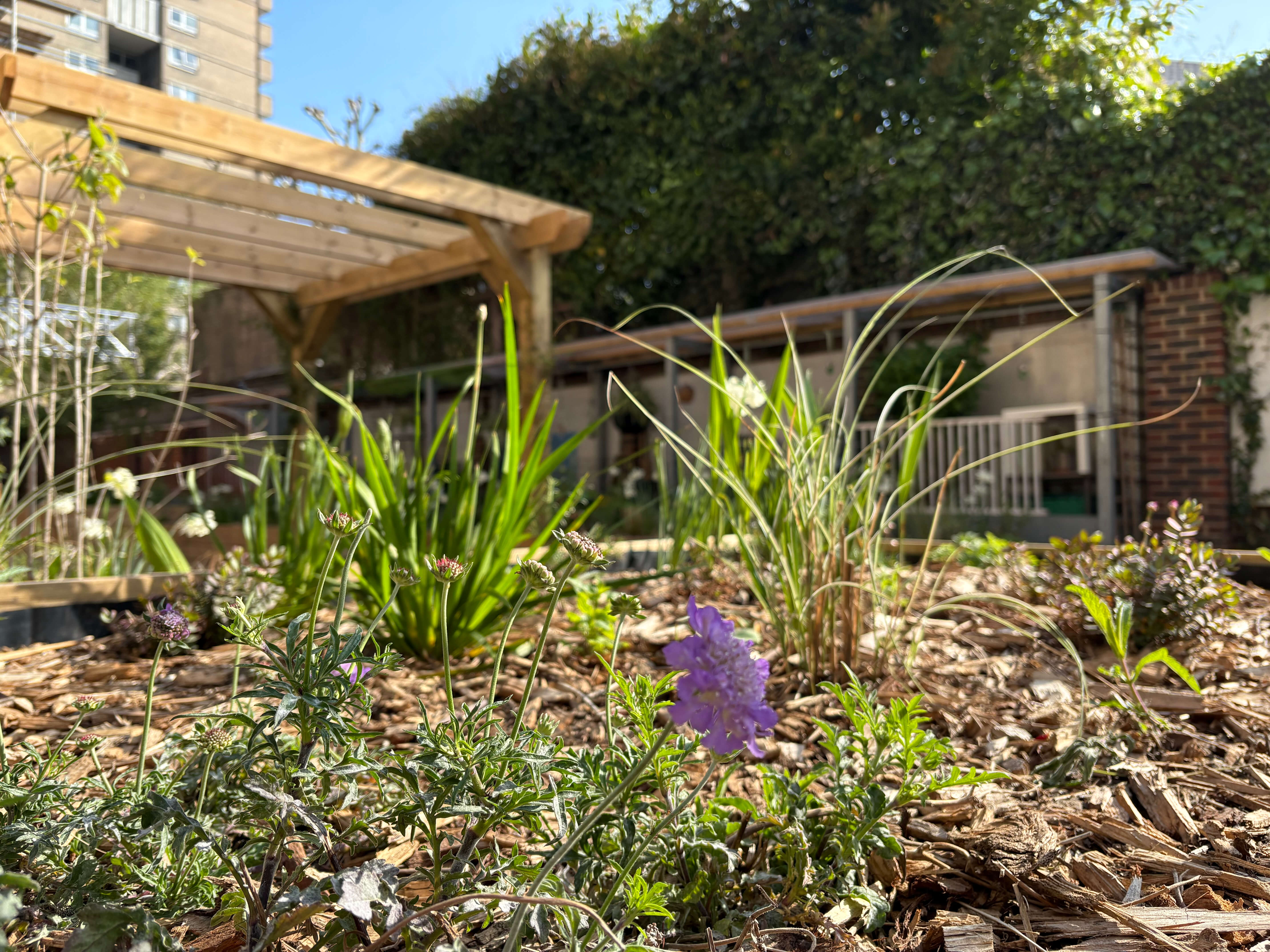Bramley House Nature Garden