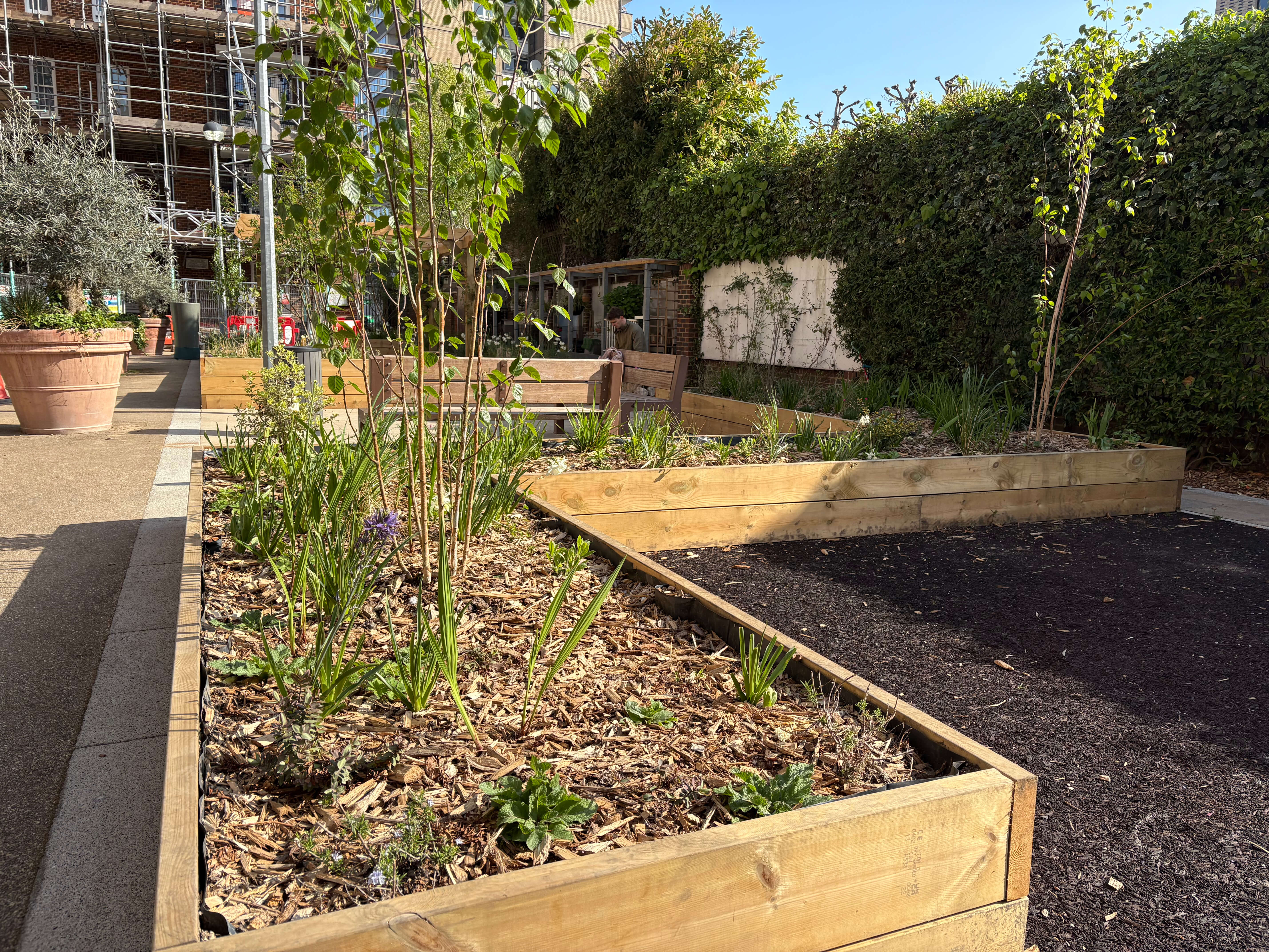Bramley House Nature Garden