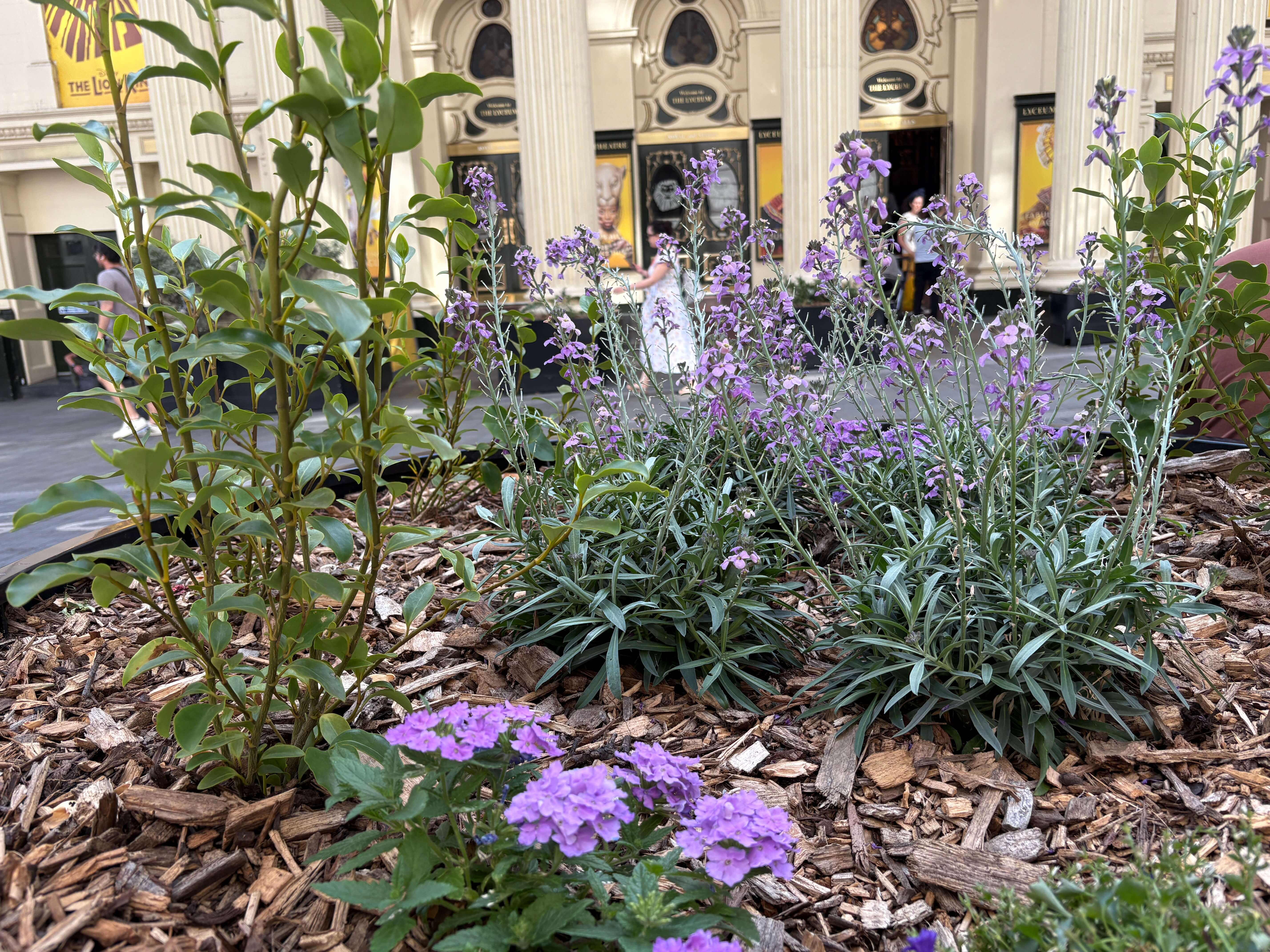Lyceum Theatre planters