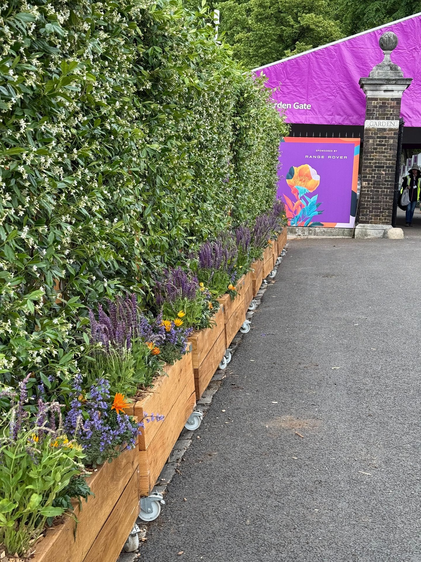 Jasmine Screens at RHS Chelsea Flower Show 2026