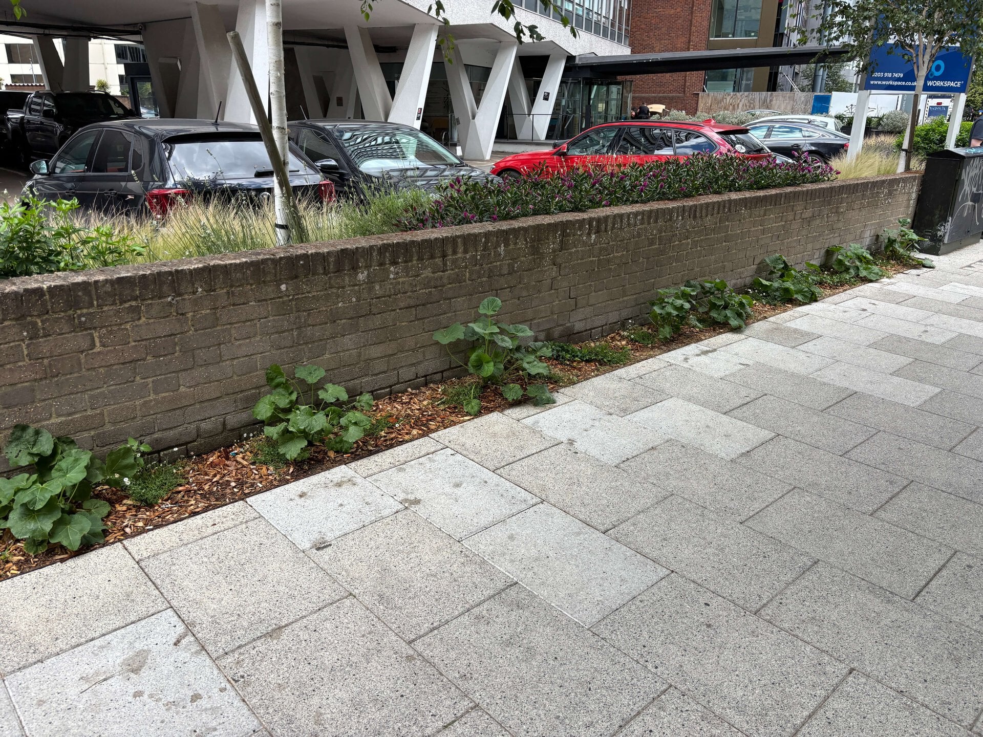 Dingwall Road Greening