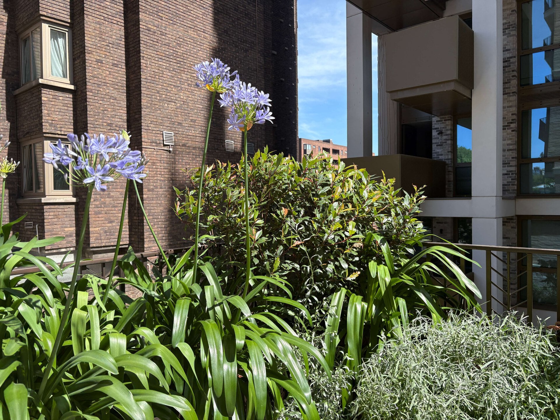 St John's Wood Terrace Garden