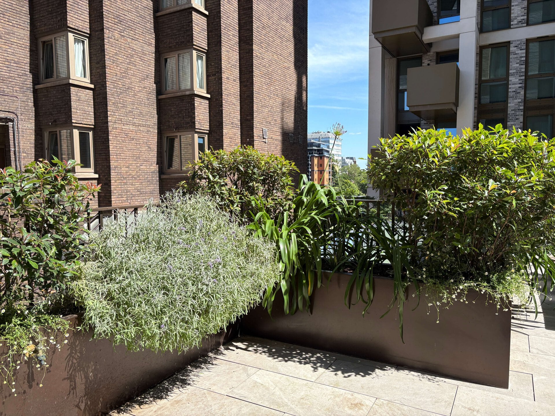 St John's Wood Terrace Garden