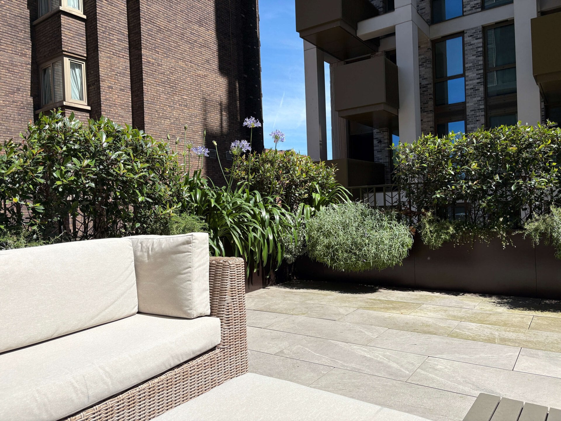 St John's Wood Terrace Garden