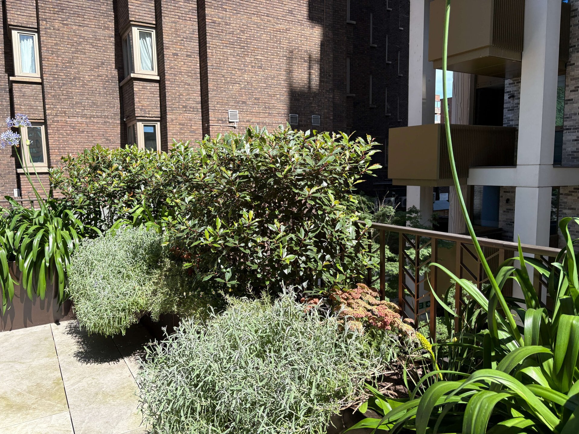 St John's Wood Terrace Garden