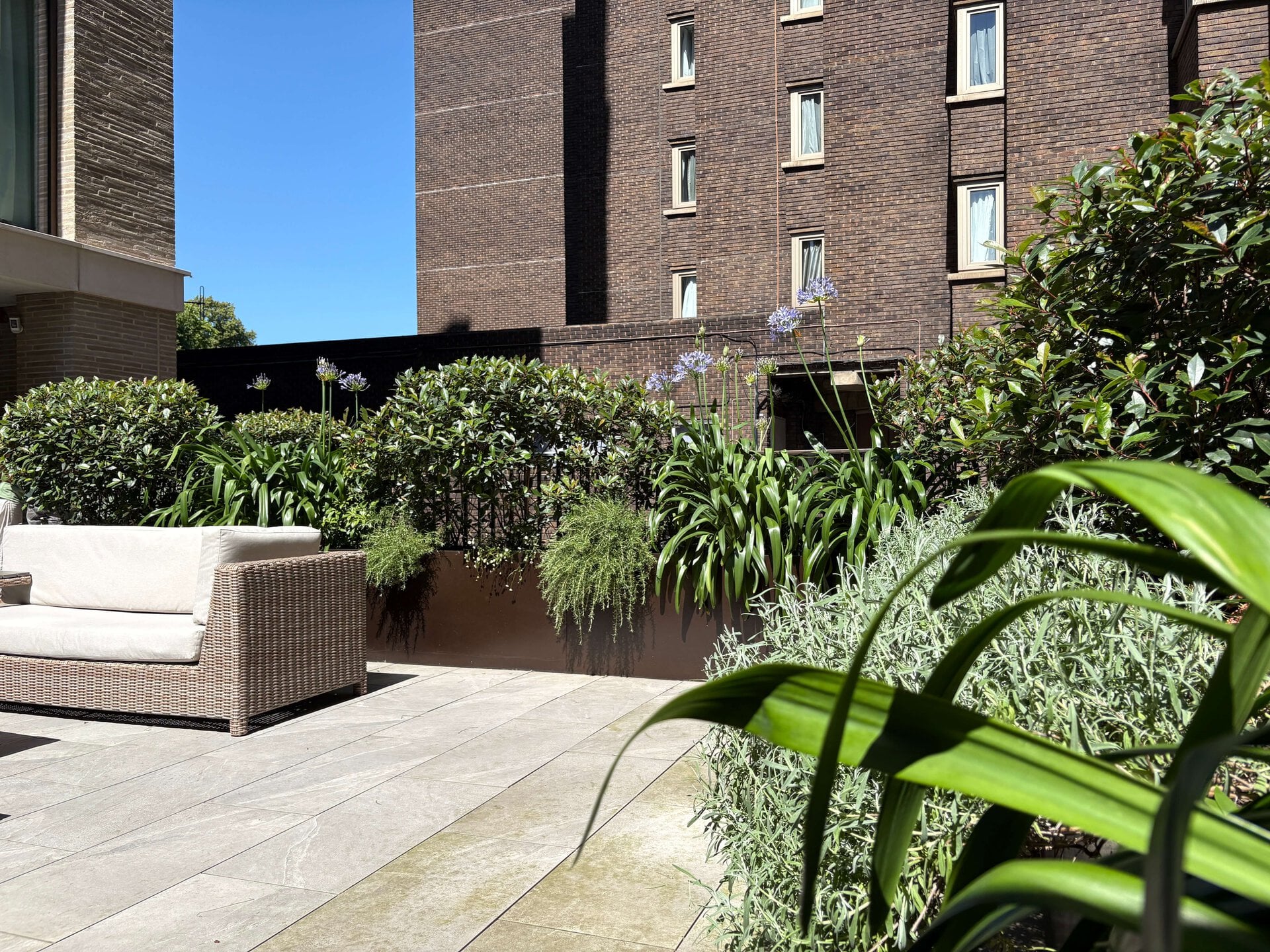 St John's Wood Terrace Garden