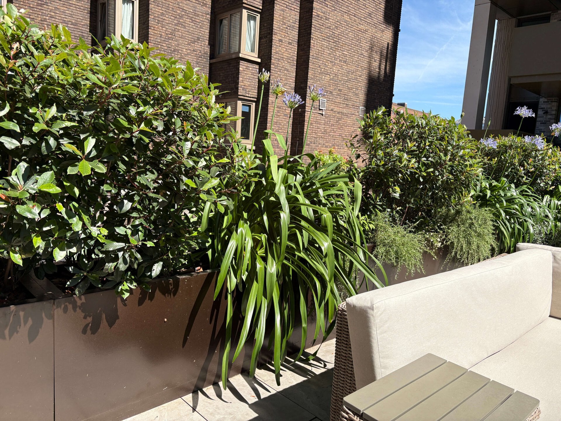 St John's Wood Terrace Garden