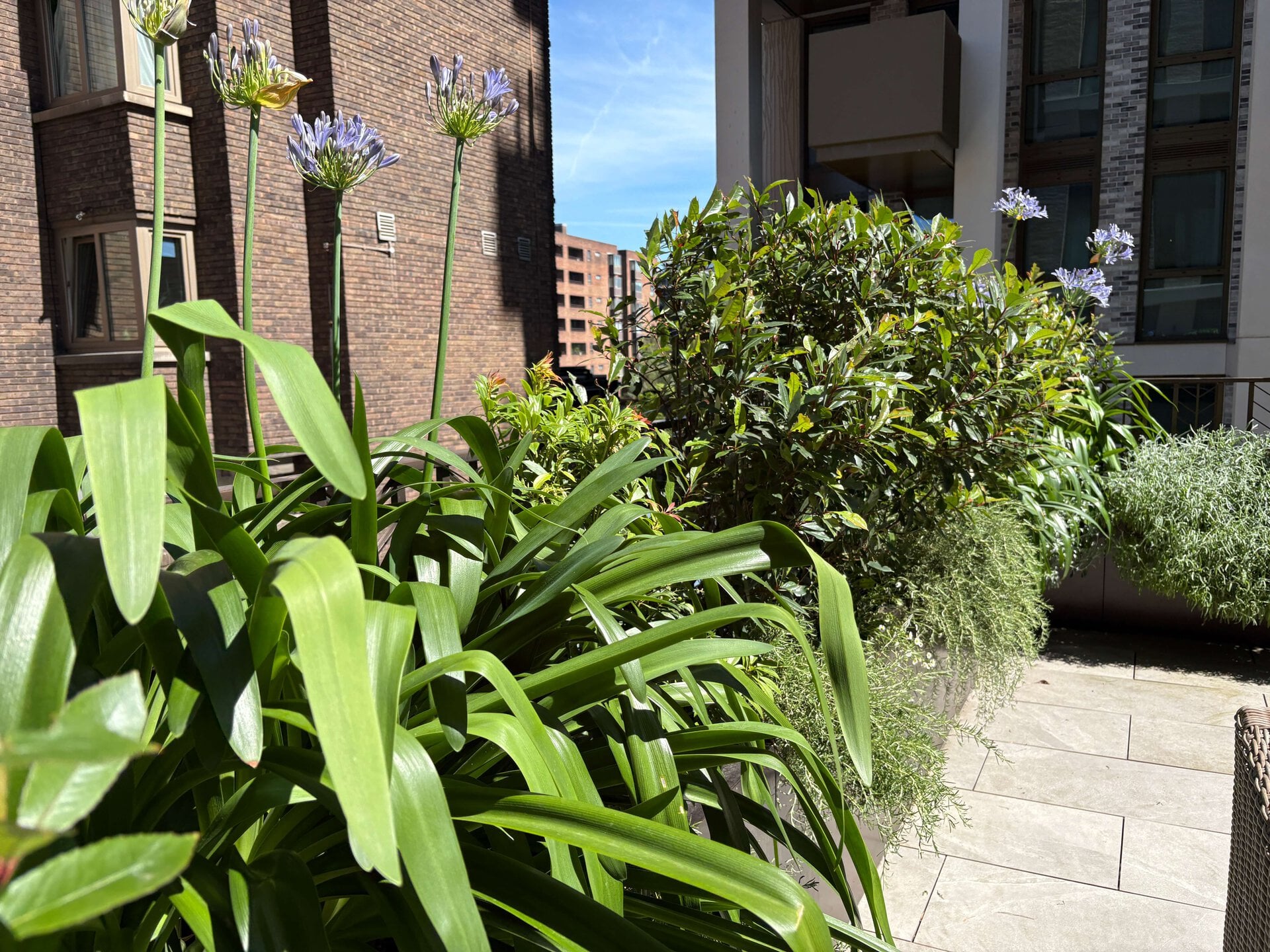 St John's Wood Terrace Garden