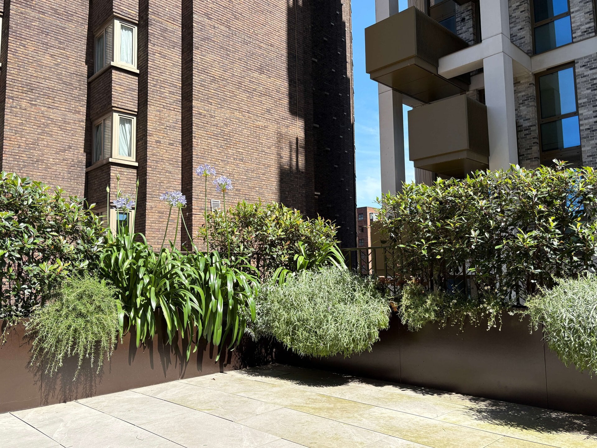 St John's Wood Terrace Garden