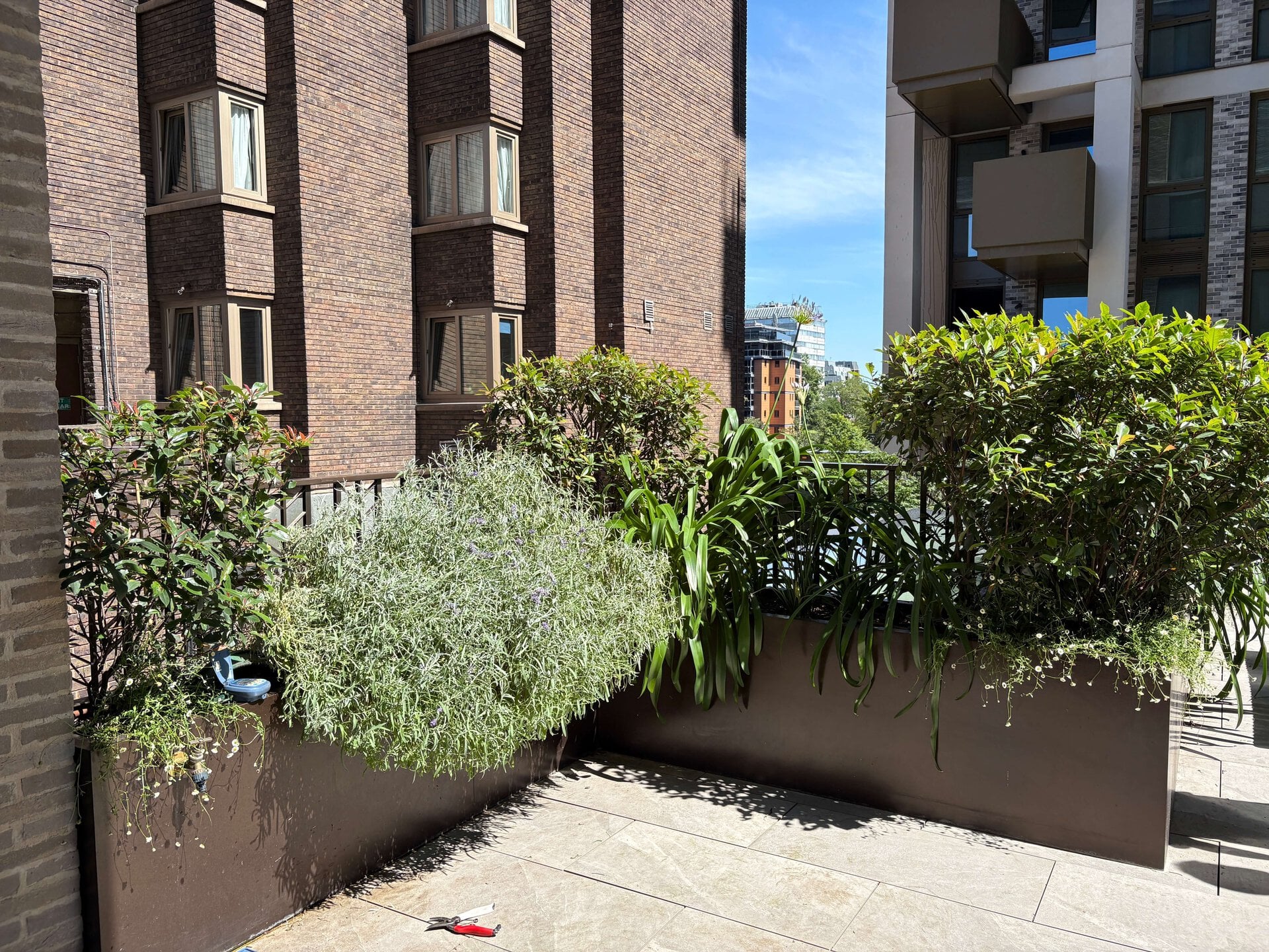 St John's Wood Terrace Garden