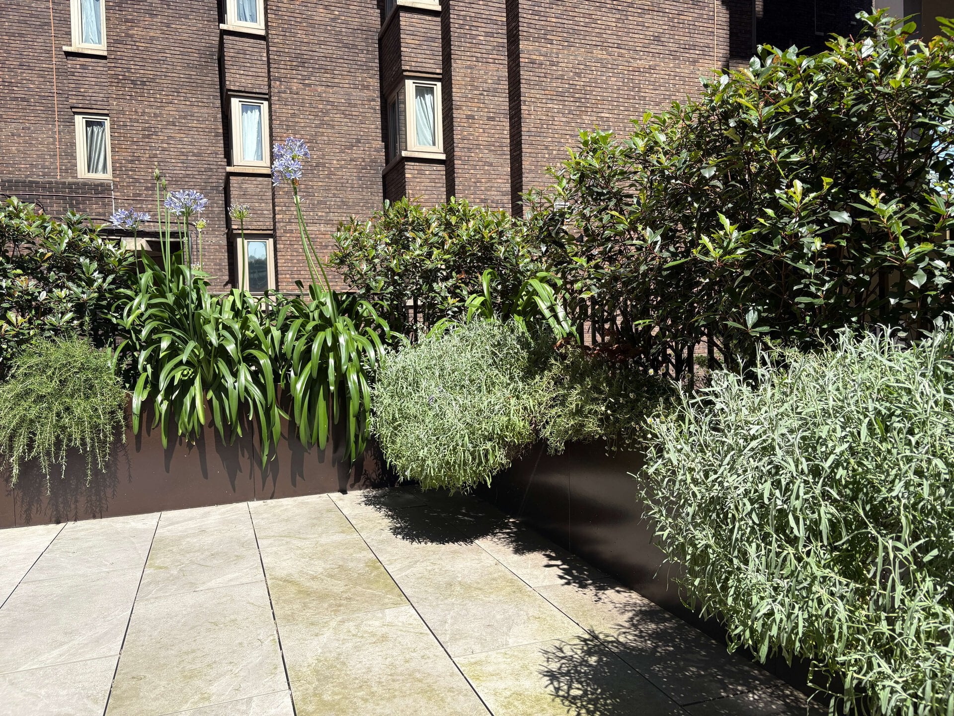 St John's Wood Terrace Garden