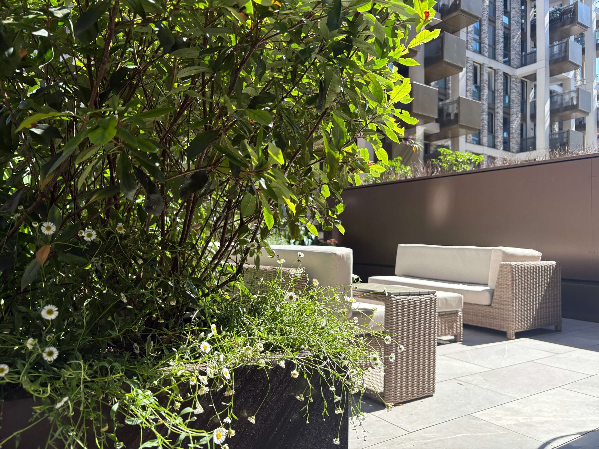 St John's Wood Terrace Garden