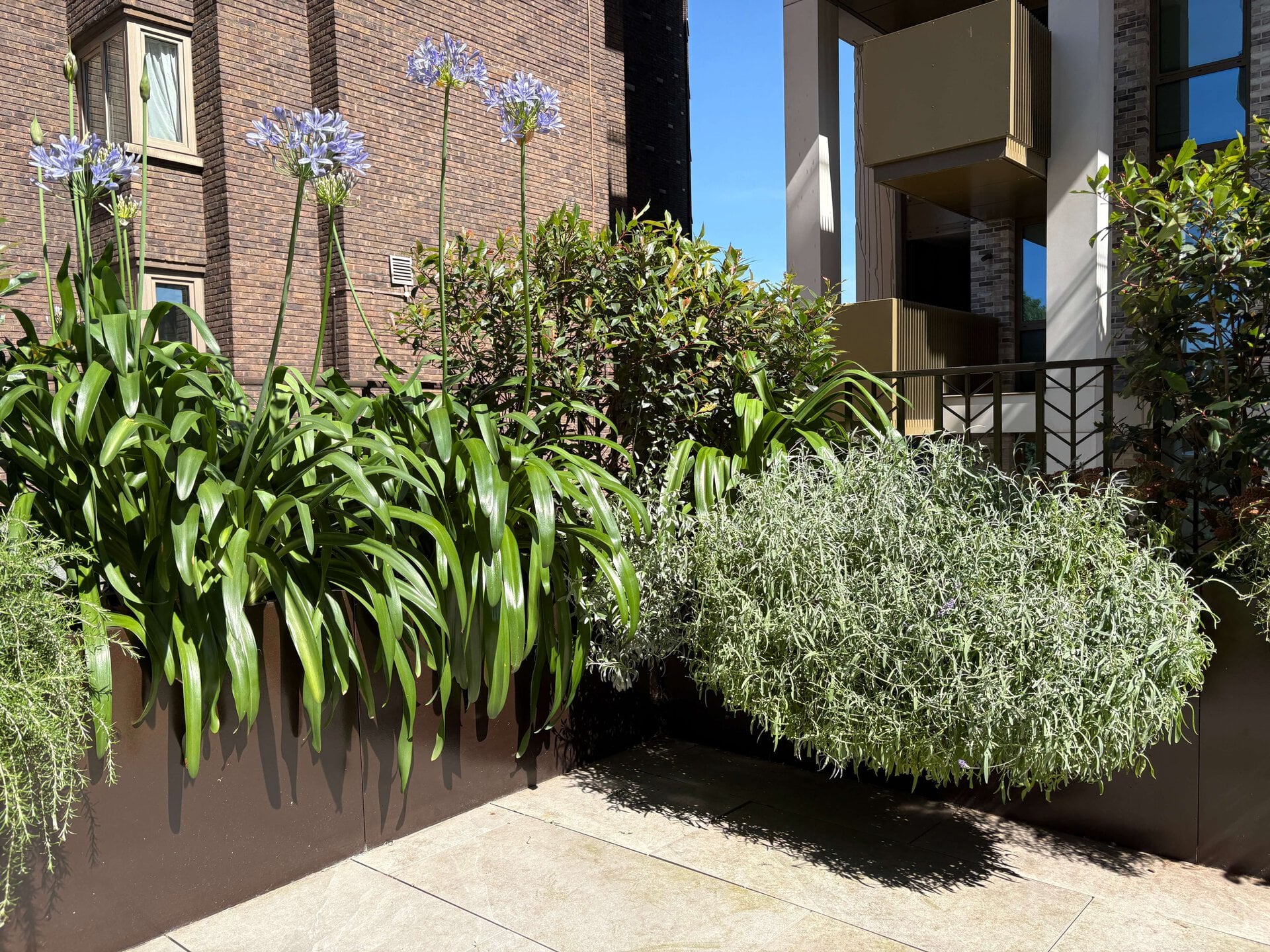 St John's Wood Terrace Garden