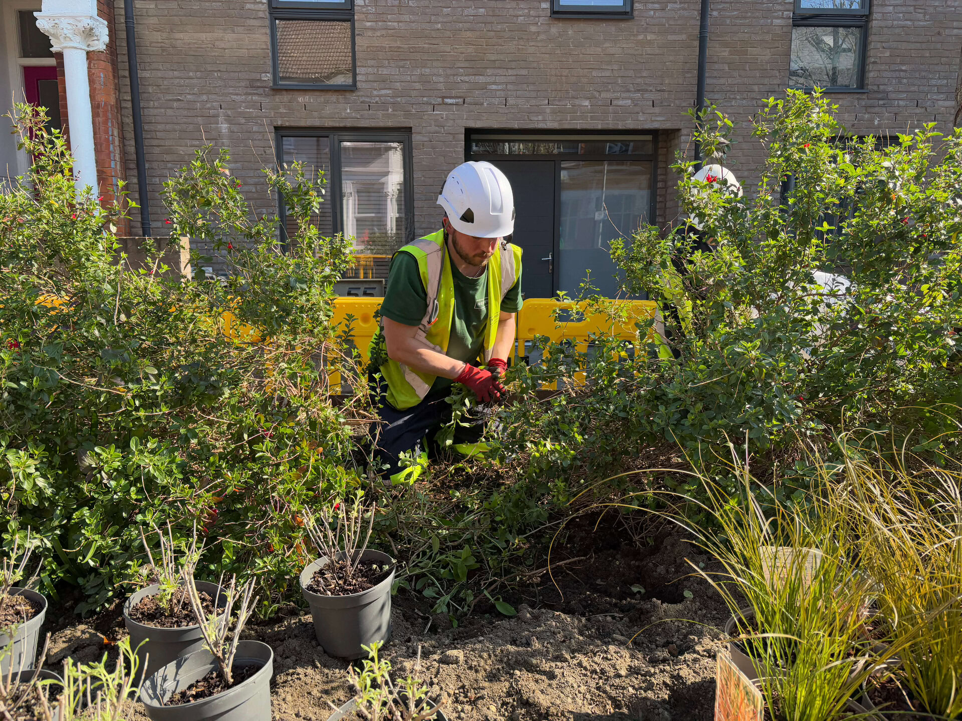 Walthamstow High Street Planting