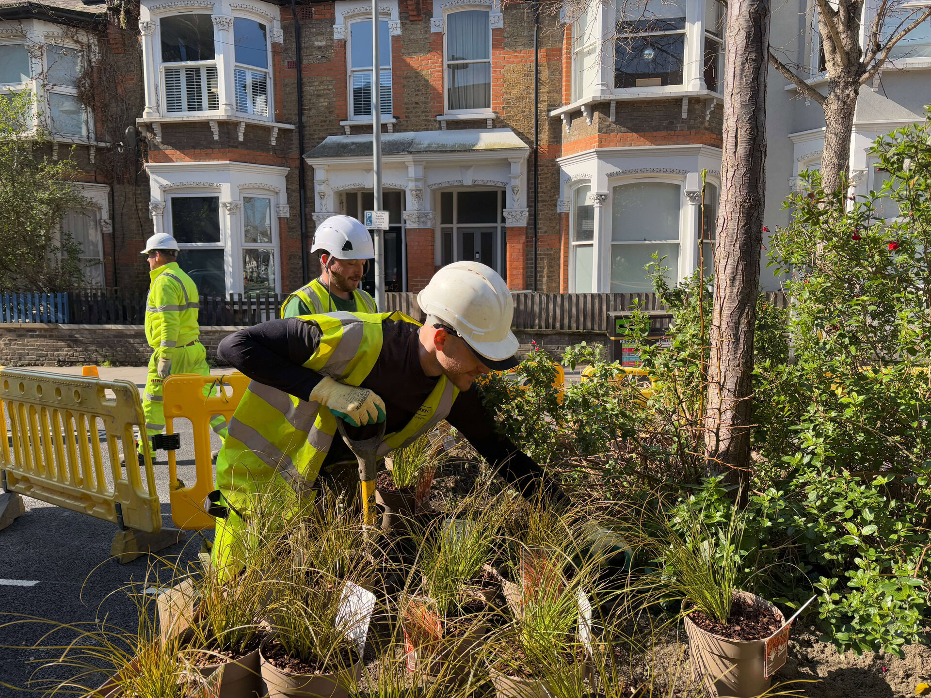 Walthamstow High Street Planting