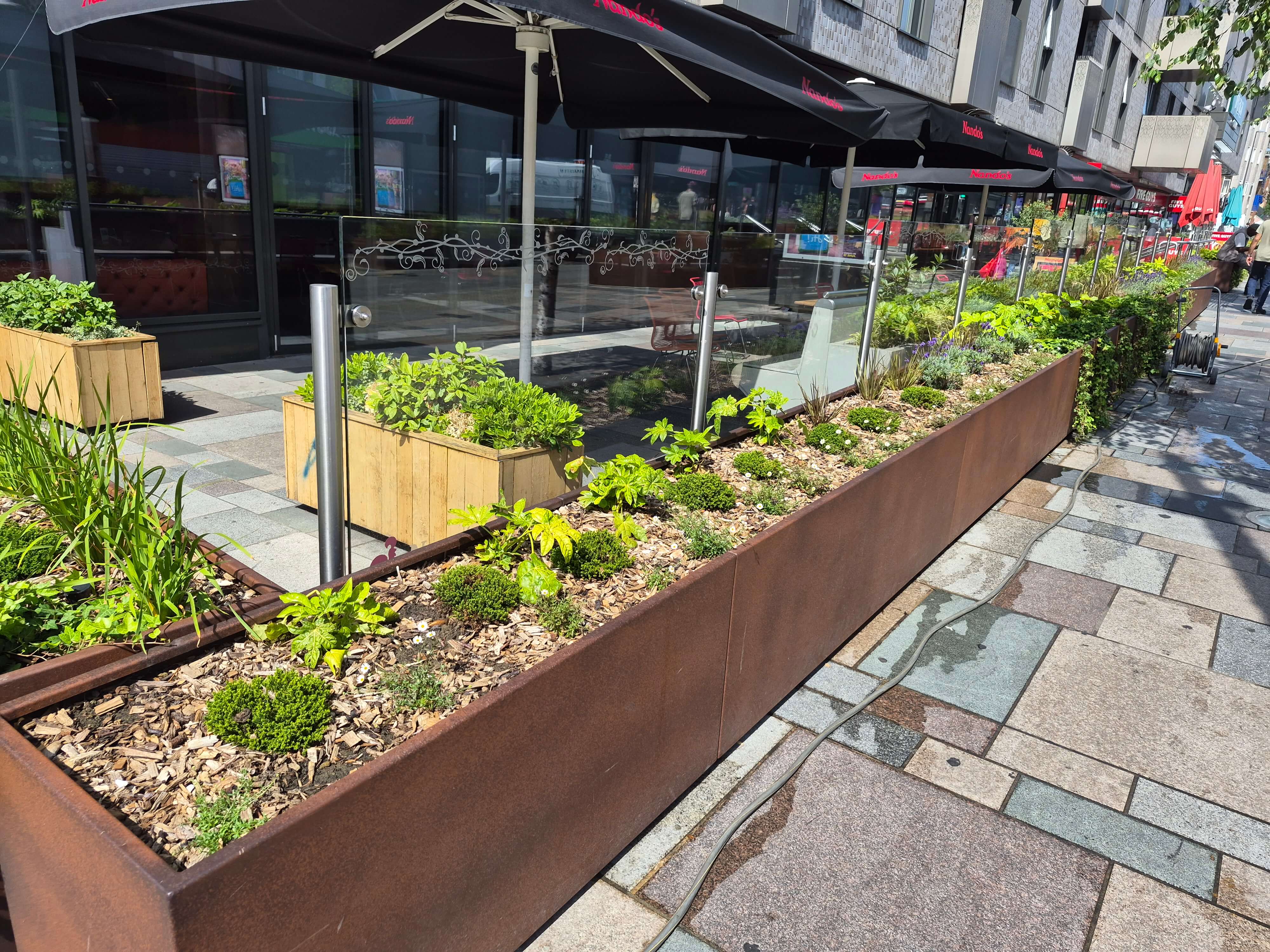 Walthamstow High Street Planting