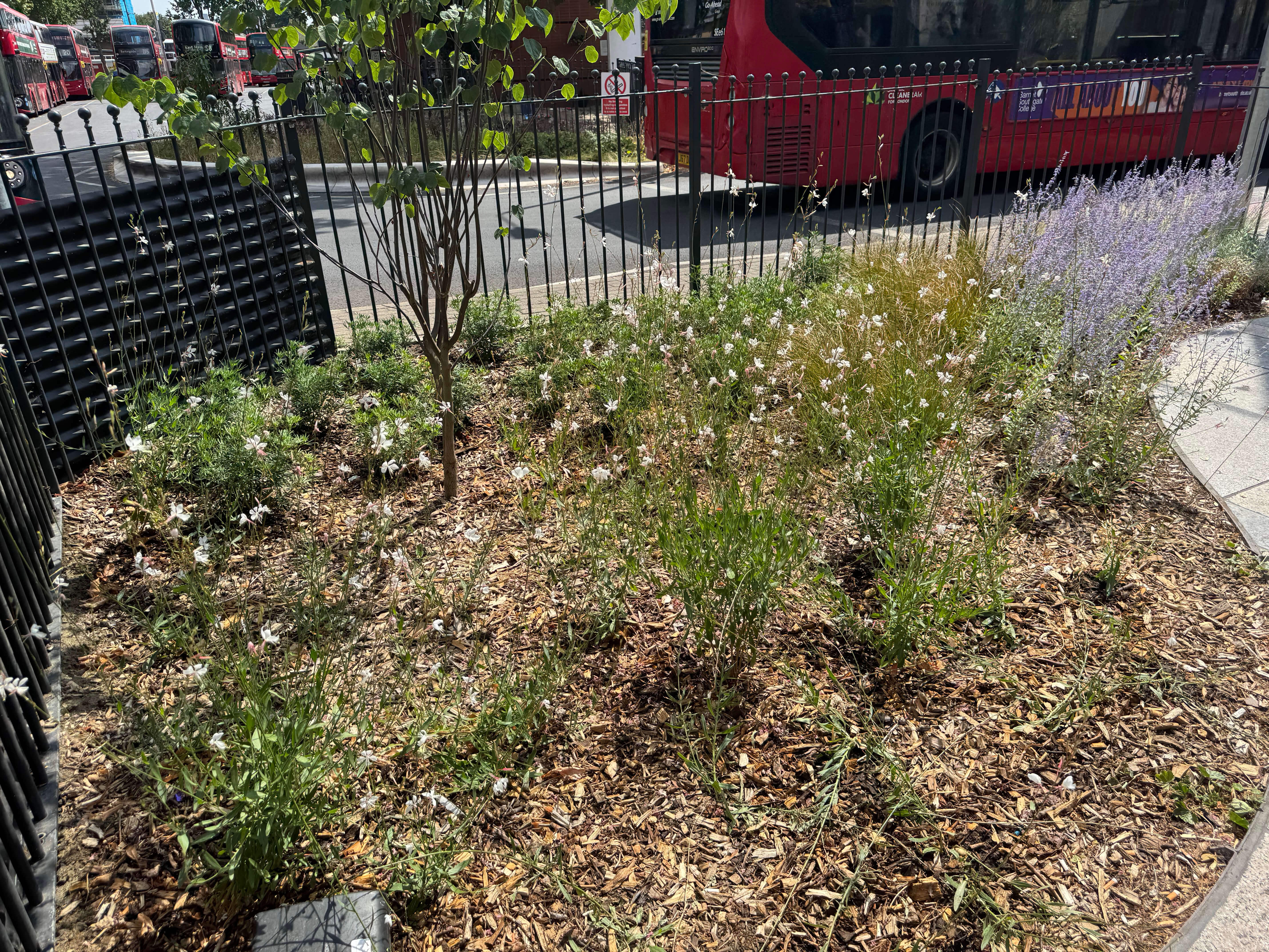 Walthamstow High Street Planting