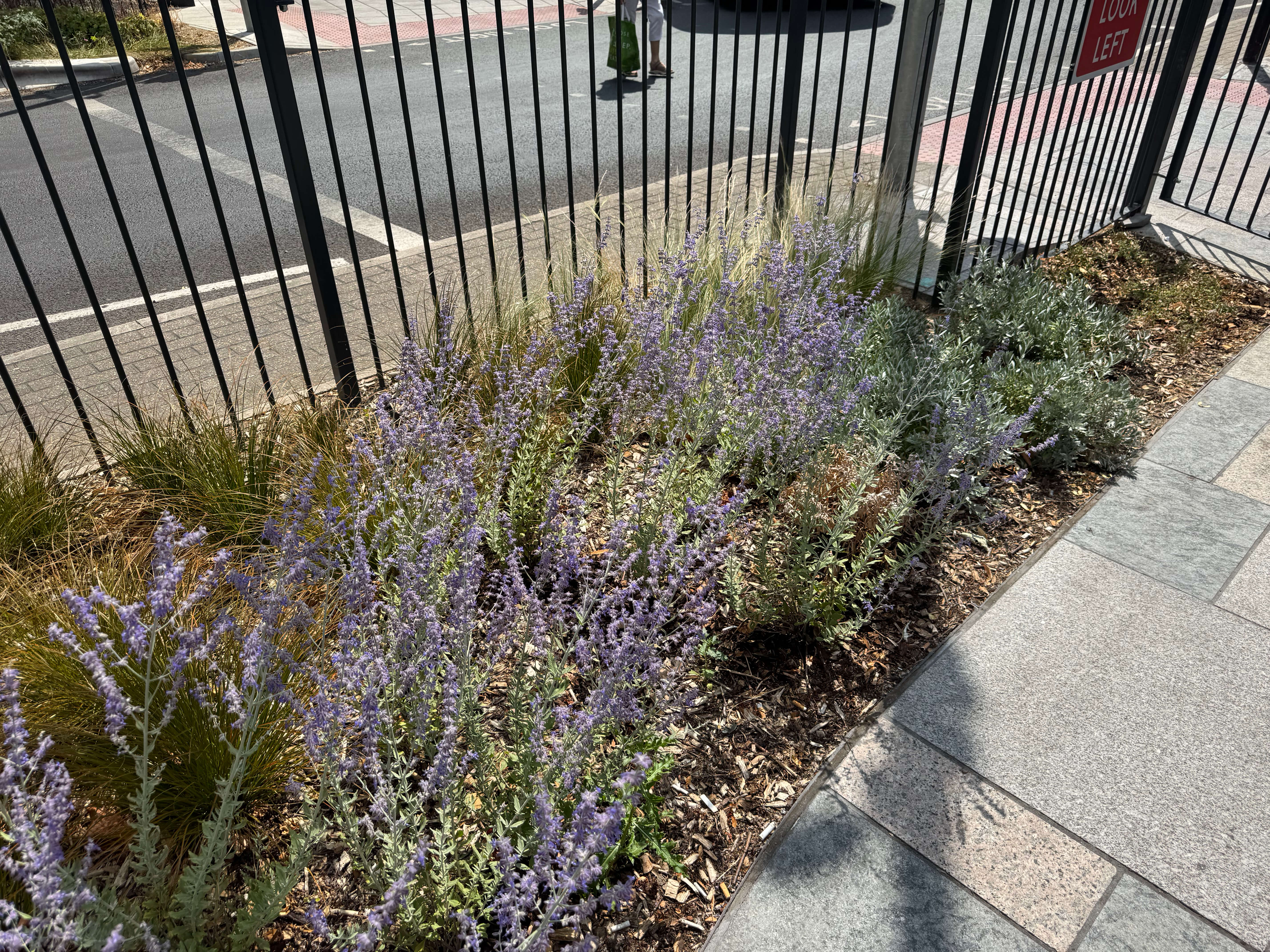 Walthamstow High Street Planting