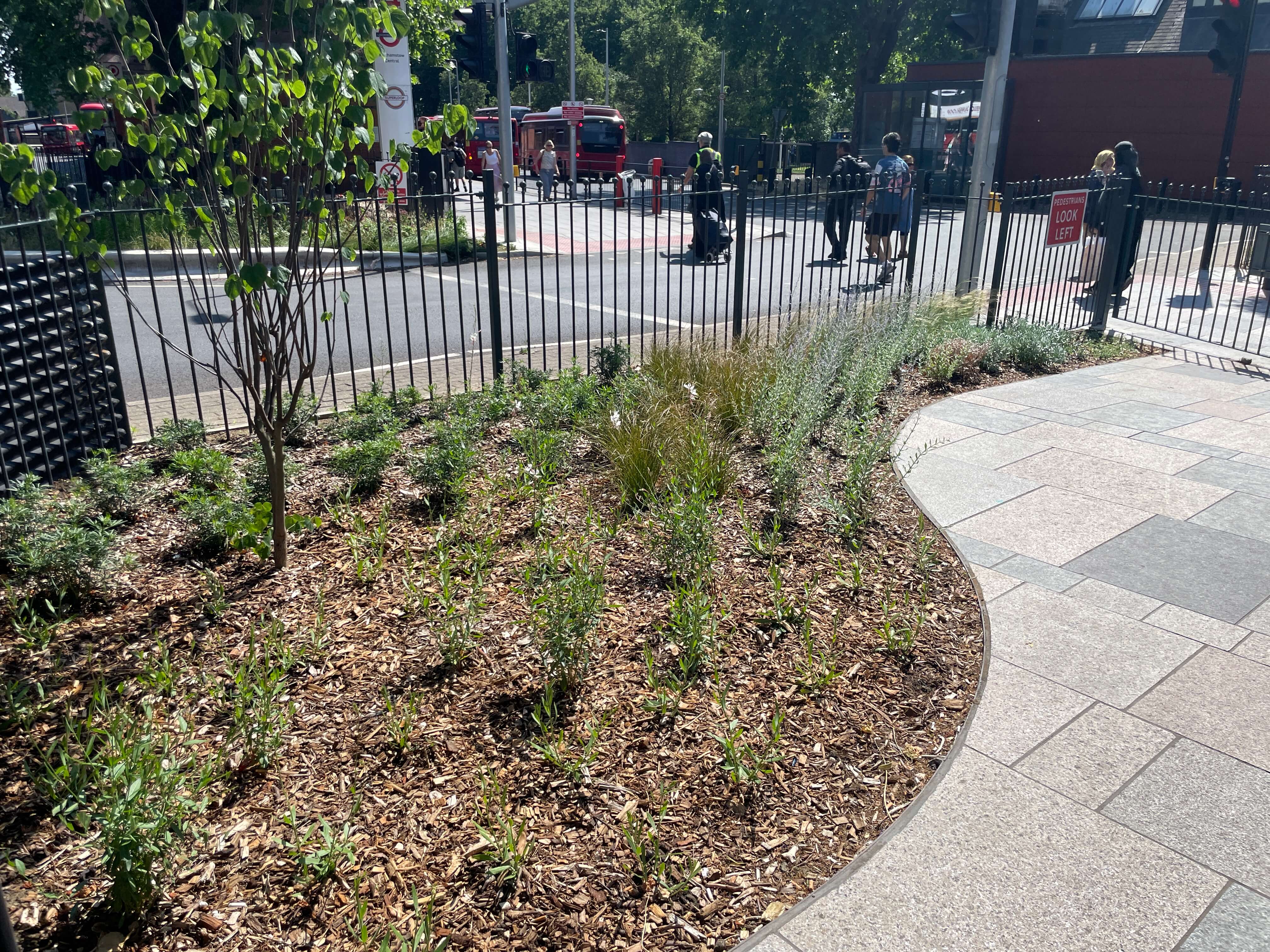 Walthamstow High Street Planting