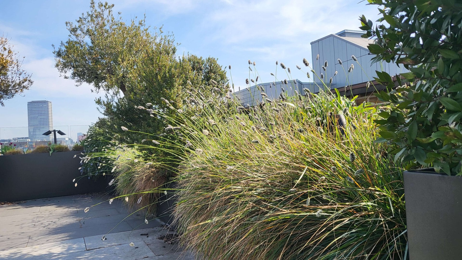 Commercial plant maintenance